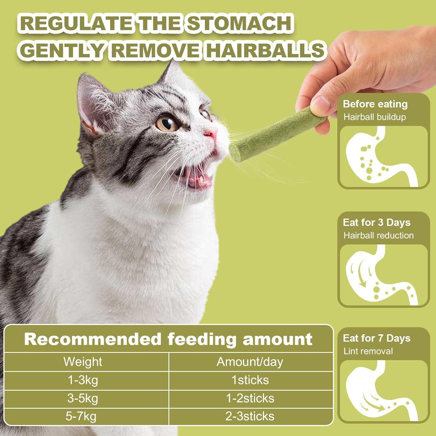 Palitos de hierba para gatos Cabaña de Dylan - 80g