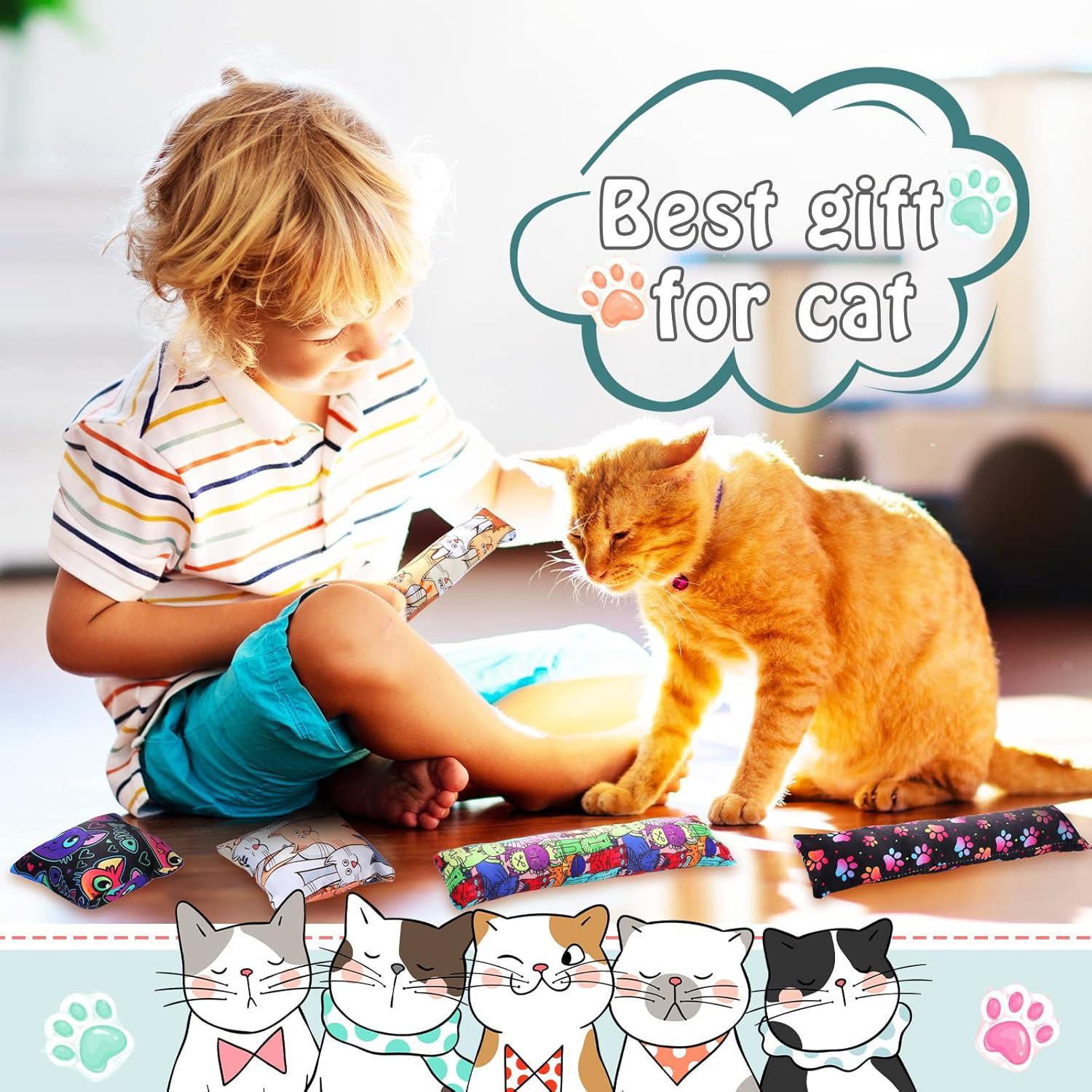 Juguetes para Gatos Hungdao - 8 Piezas con Hierba Gatera