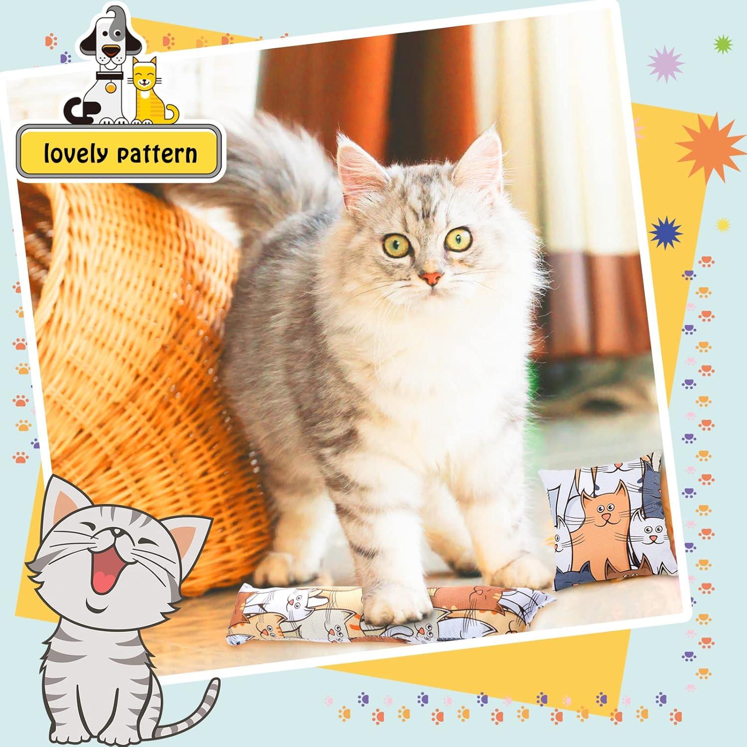 Juguetes para Gatos Hungdao - 8 Piezas con Hierba Gatera