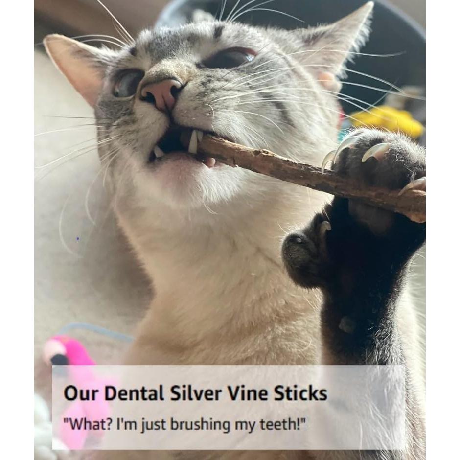 Palos de Silver Vine From The Field para Gatos 5 Unidades