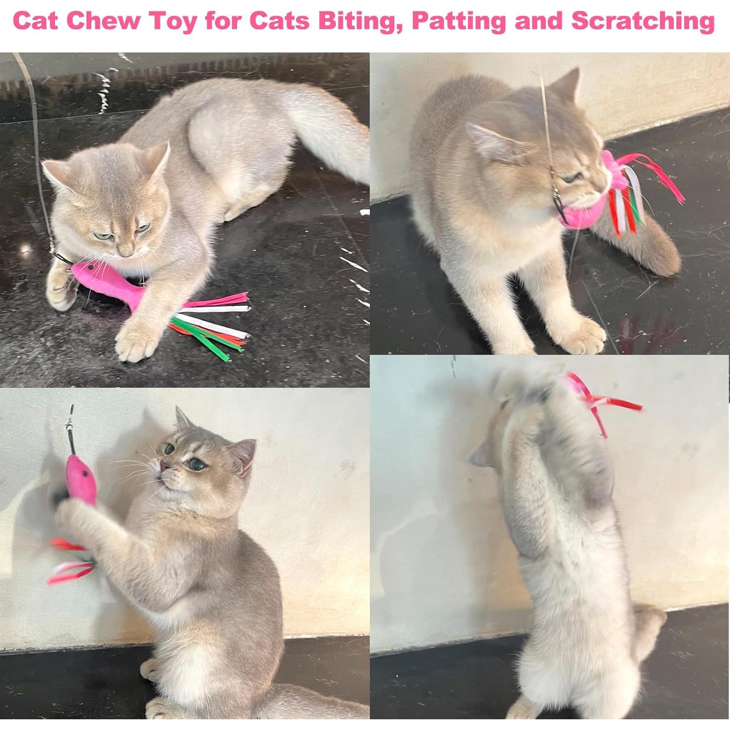 Juguetes para Gatos ZeyZoo 5PCS Pez Rosa Catnip Suave