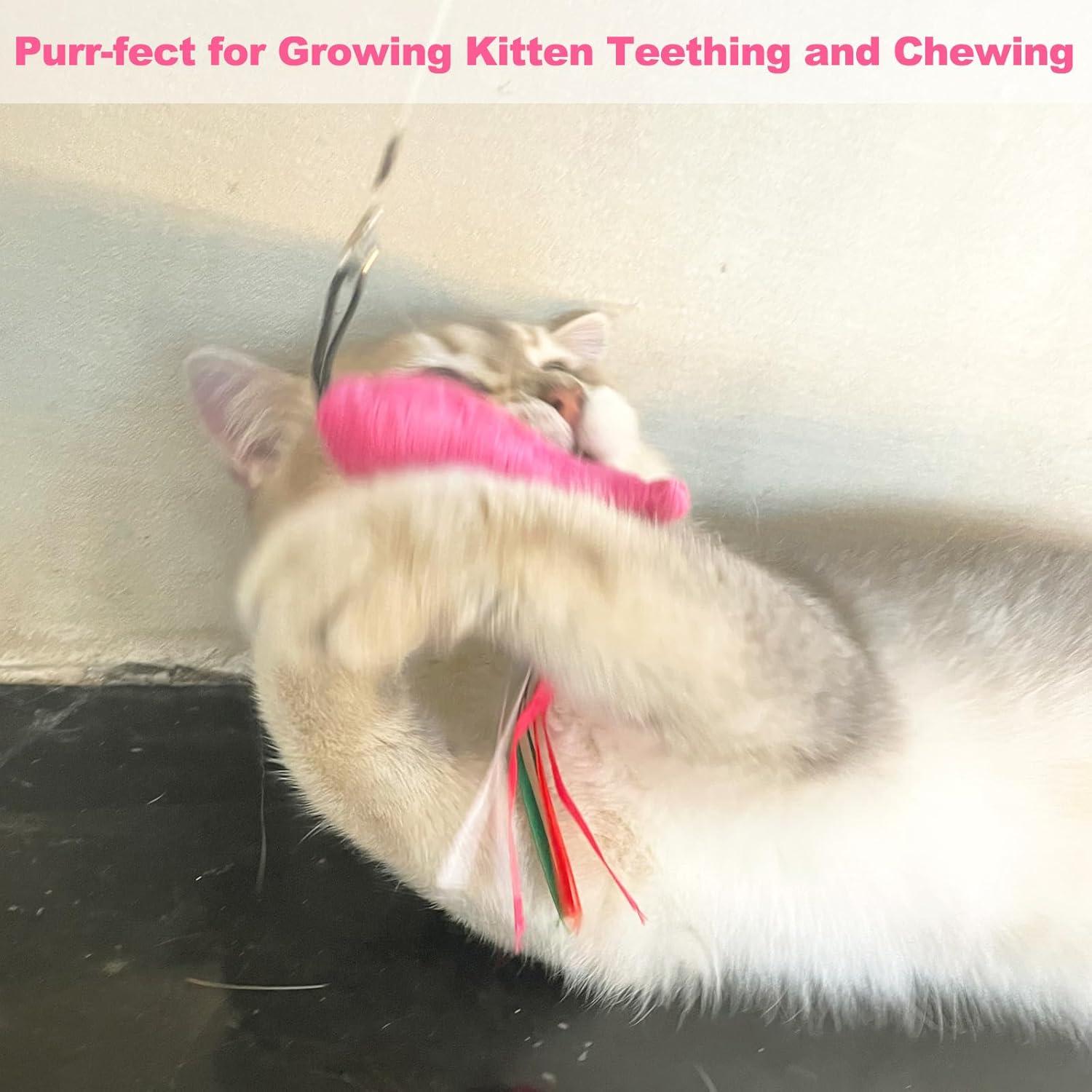 Juguetes para Gatos ZeyZoo 5PCS Pez Rosa Catnip Suave