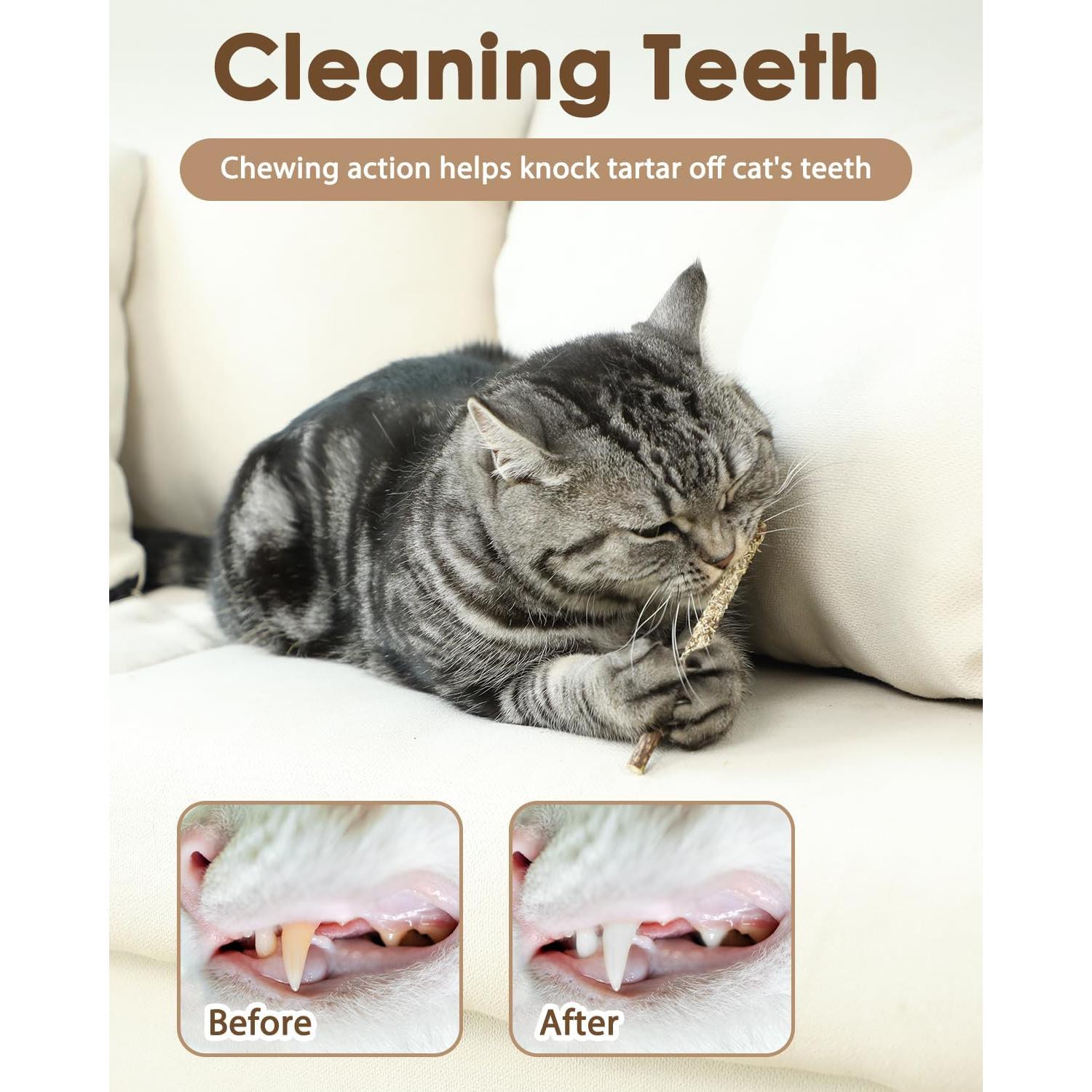 Juguetes para Gatos Tocirelo - Paquete de 10 Silvervine Natural