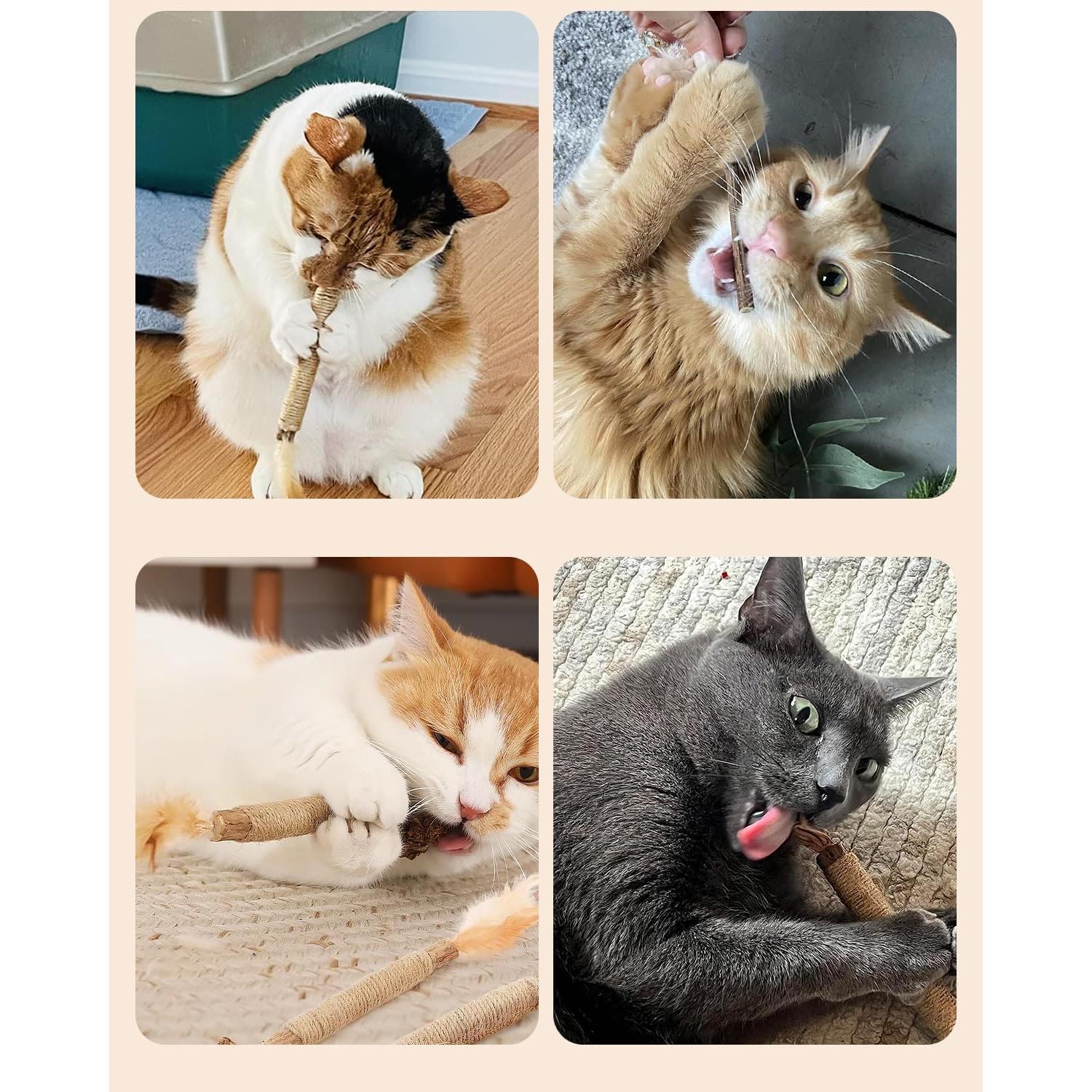 Juguetes para Gatos Tocirelo - Paquete de 10 Silvervine Natural