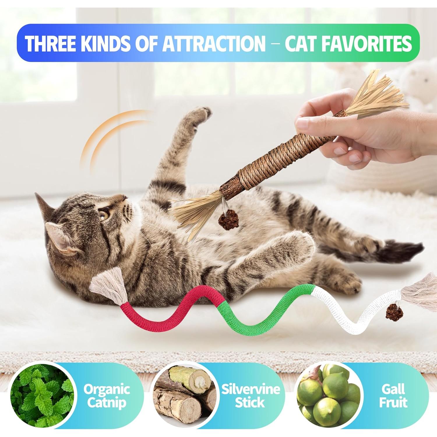 Juguetes Interactivos para Gatos GBSYU - 6 Piezas Catnip