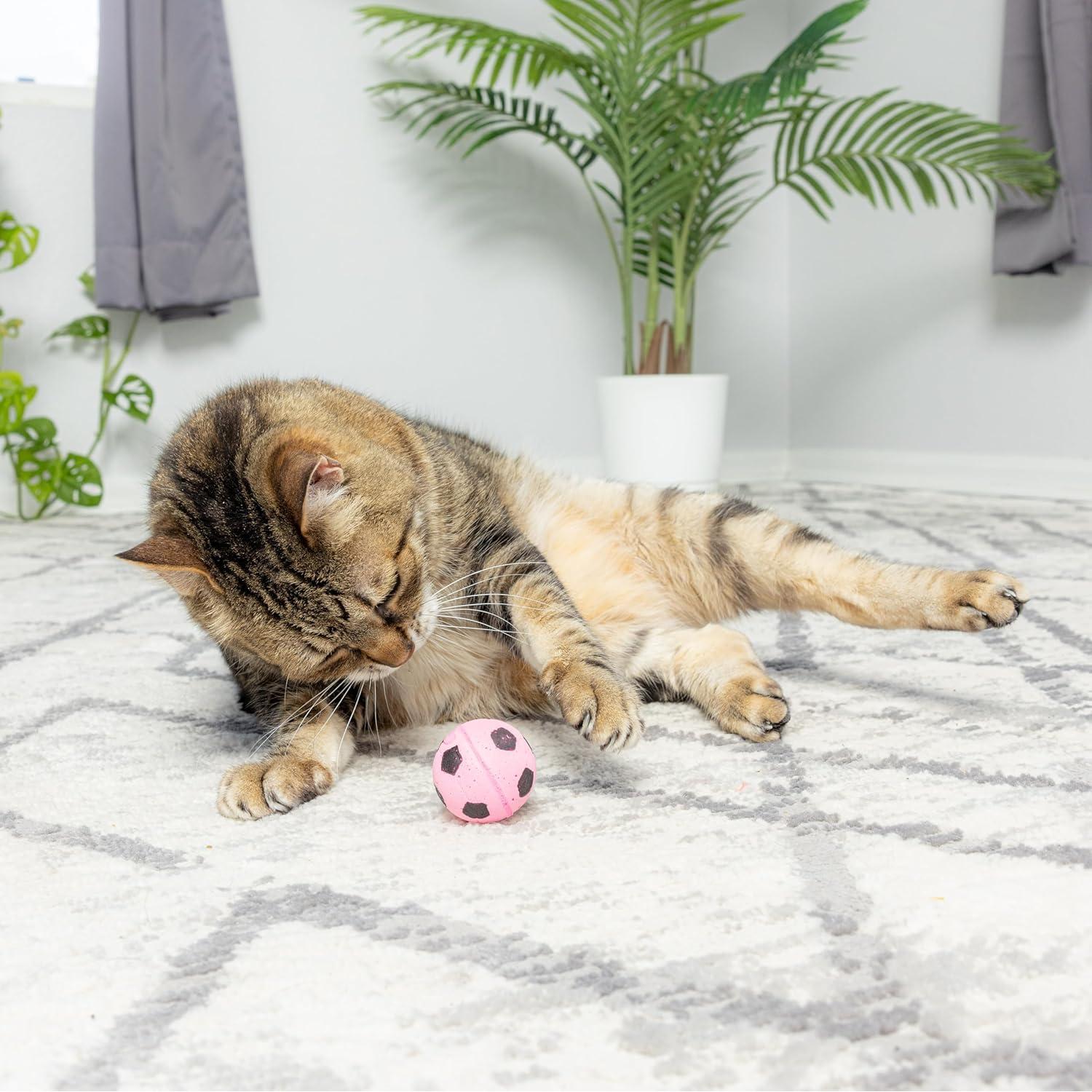 Esponjas Pelotas de Fútbol SPOT para Gatos - Paquete de 4