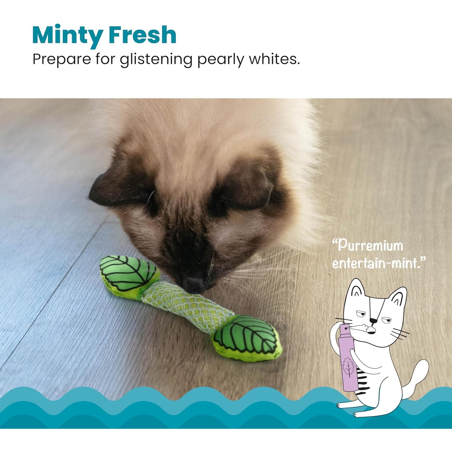 Juguete Dental para Gatos Petstages Fresh Breath - Paquete de 2