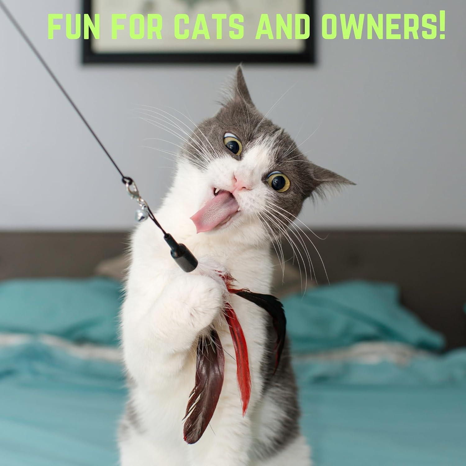 Varita Interactiva para Gatos Smokey's Stash 2pc con Plumas