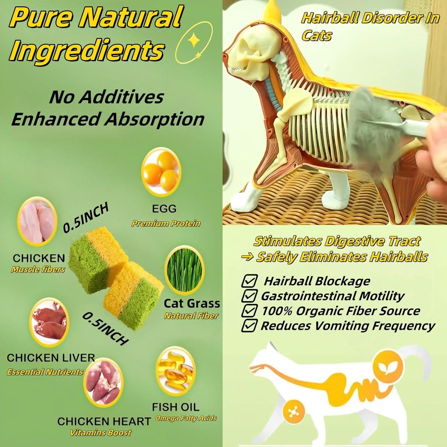 Galletas de Hierba para Gatos GREMBEB 60g - Snack Dental 2 en 1