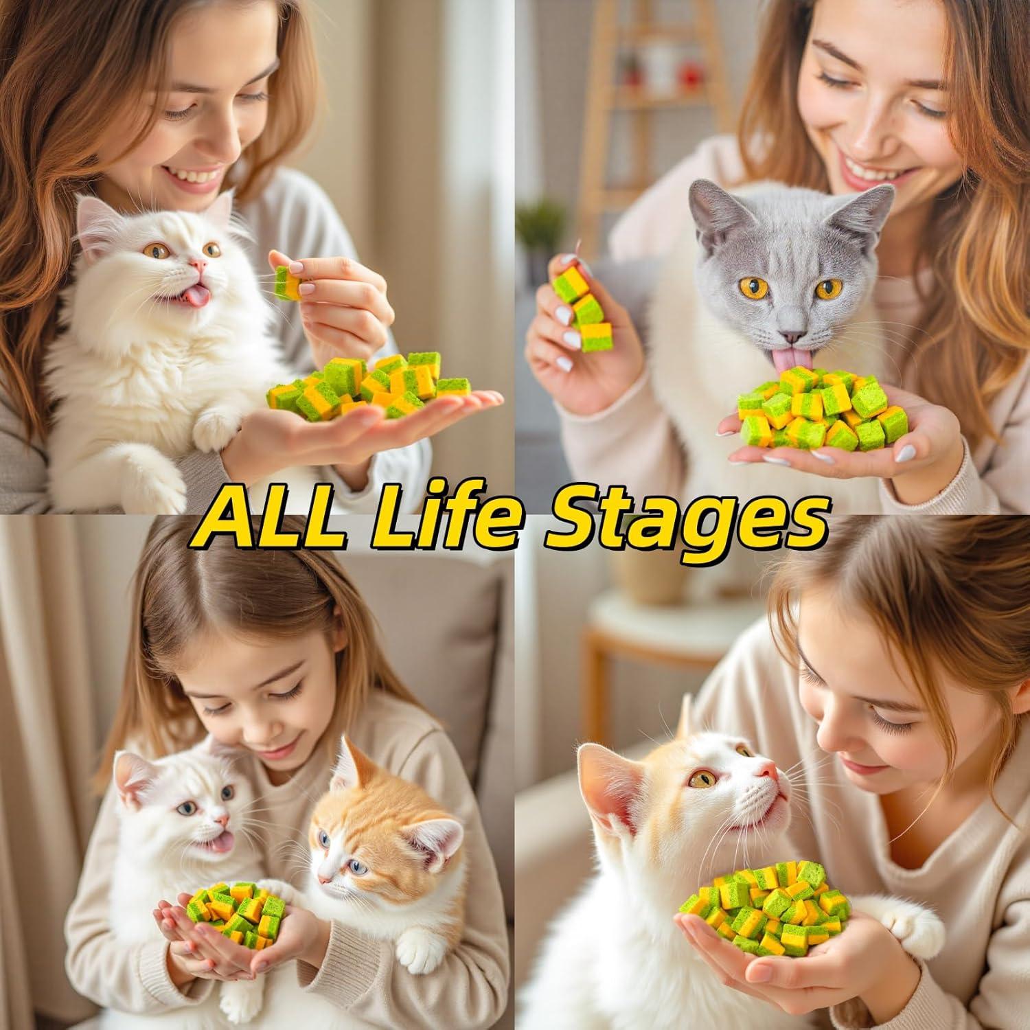 Galletas de Hierba para Gatos GREMBEB 60g - Snack Dental 2 en 1