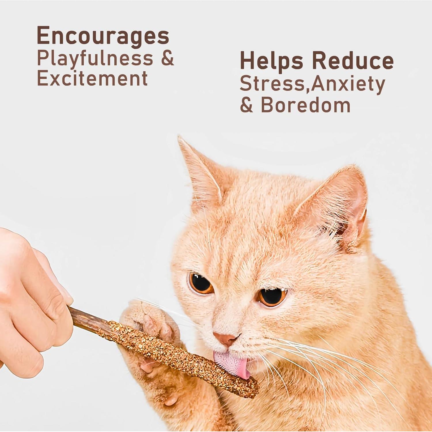 Palitos Masticables para Gatos Maiguangta 12 Piezas 100% Naturales