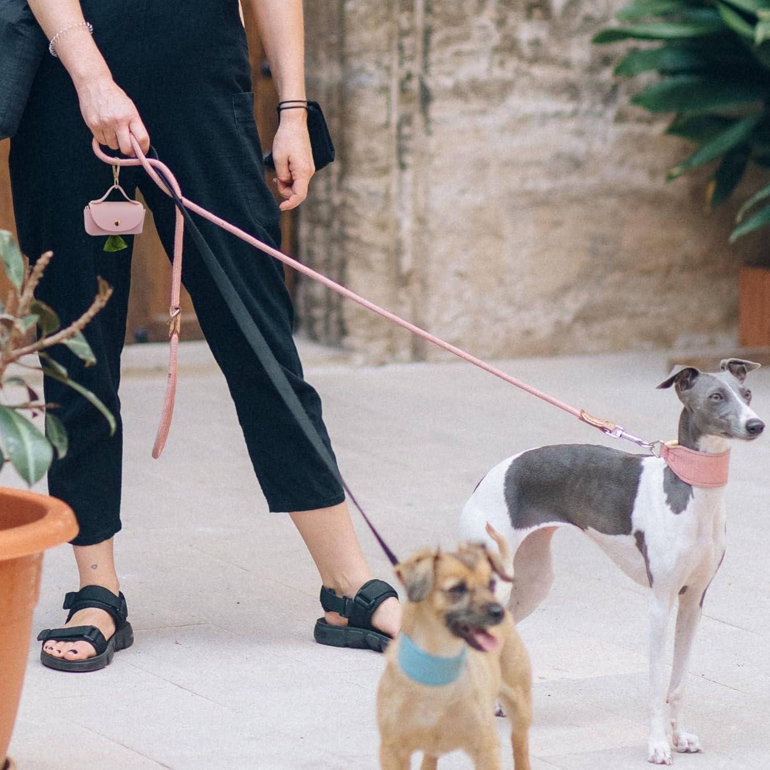 Dispensador de Bolsa de Excremento para Perros ENWIQUE Rosa