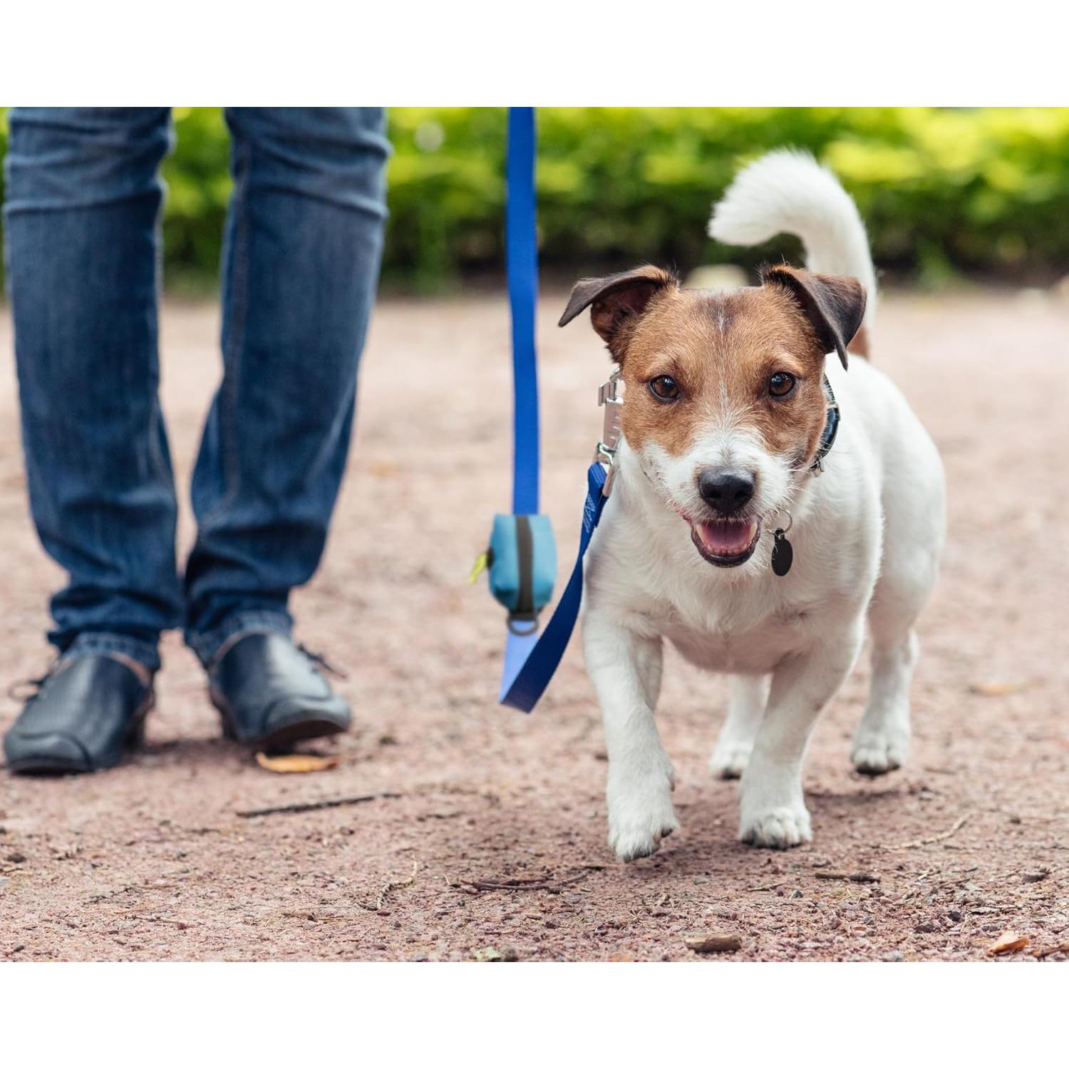 Bolsa de Suministro de Desechos Cutie's PetBox Nylon Azul