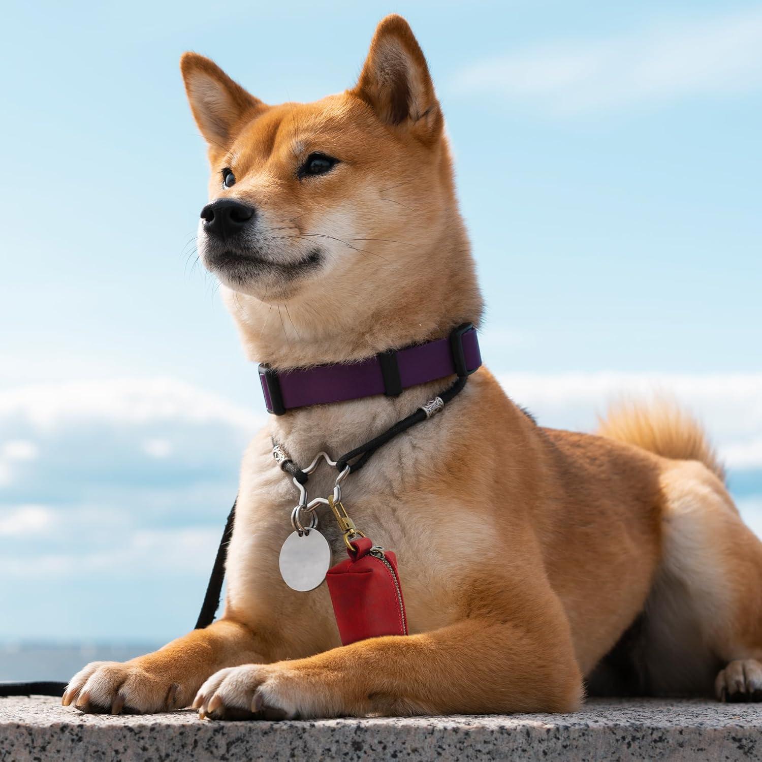 Soporte de Bolsa de Excremento para Perros HIFA - Cuero Rojo