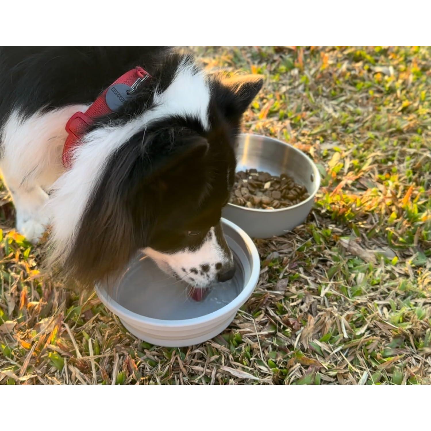 Tazones de Viaje para Perros Xuyub 1.18L Acero Inoxidable