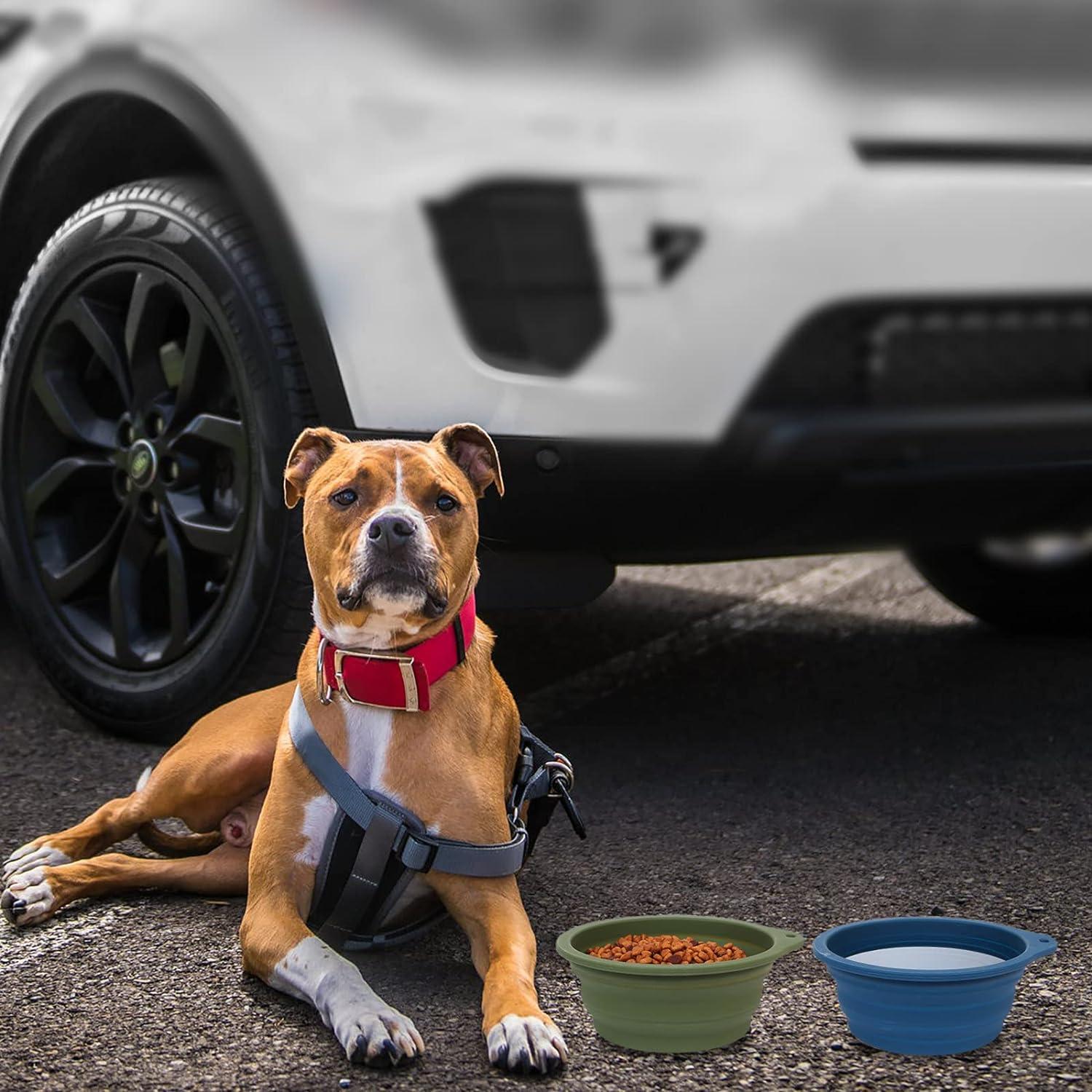 Cuencos Plegables para Perros SLSON 600ml Azul y Verde