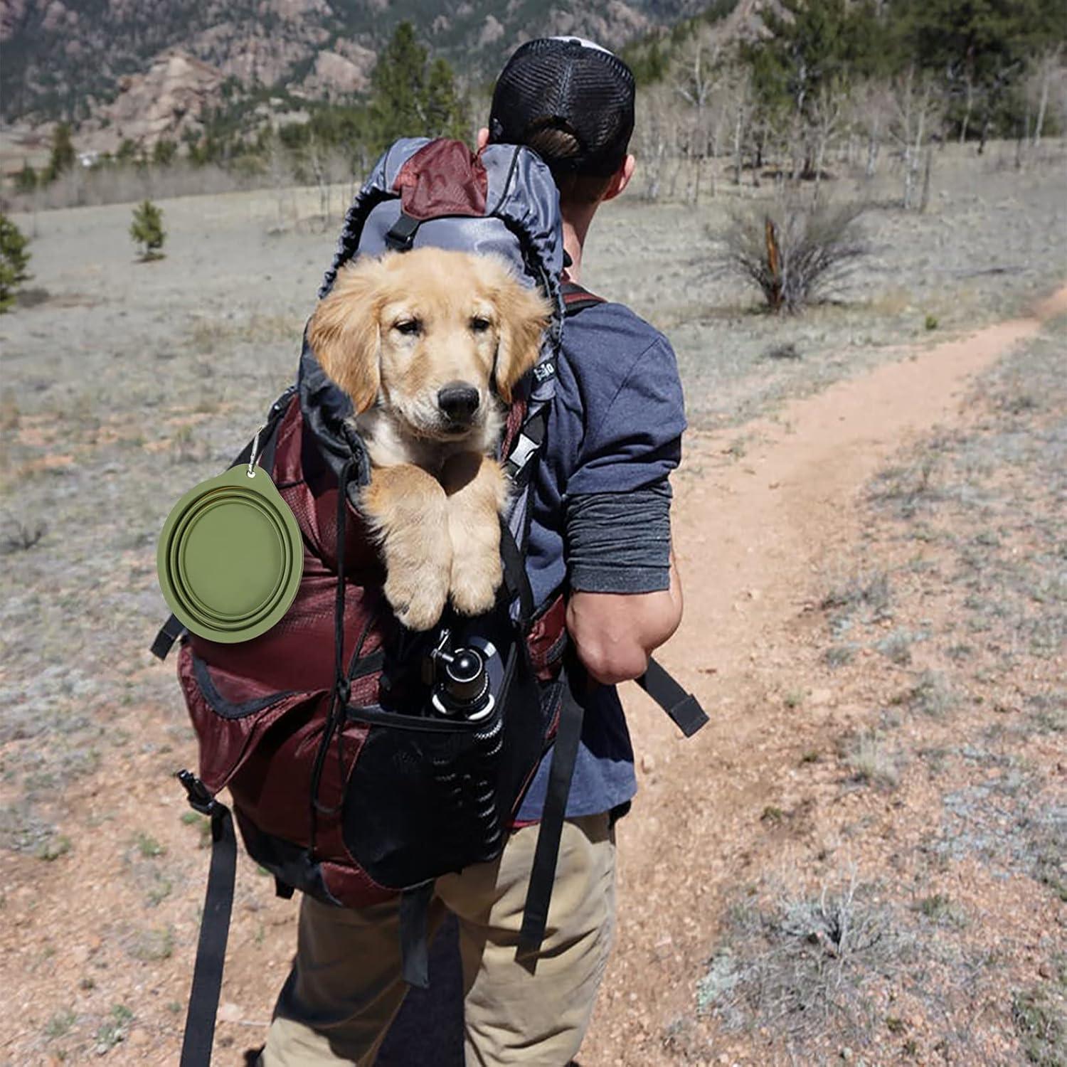 Cuencos Plegables para Perros SLSON 600ml Azul y Verde