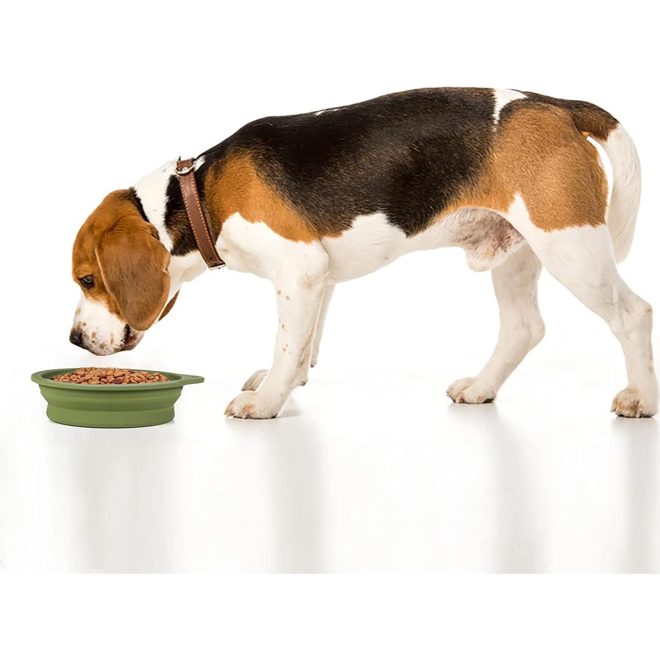 Cuencos Plegables para Perros SLSON 600ml Azul y Verde