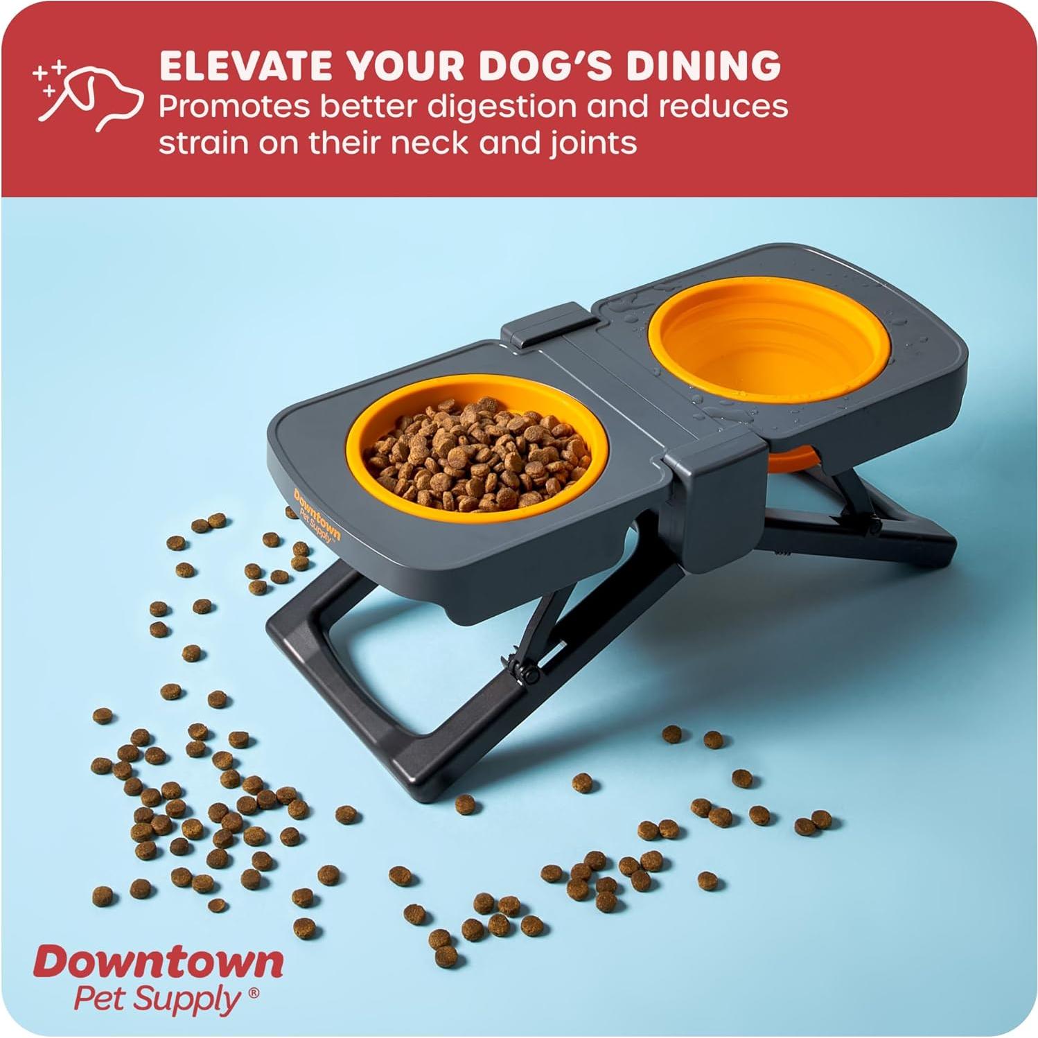Comedero Elevado Plegable Downtown Pet Supply - 5 Tazas