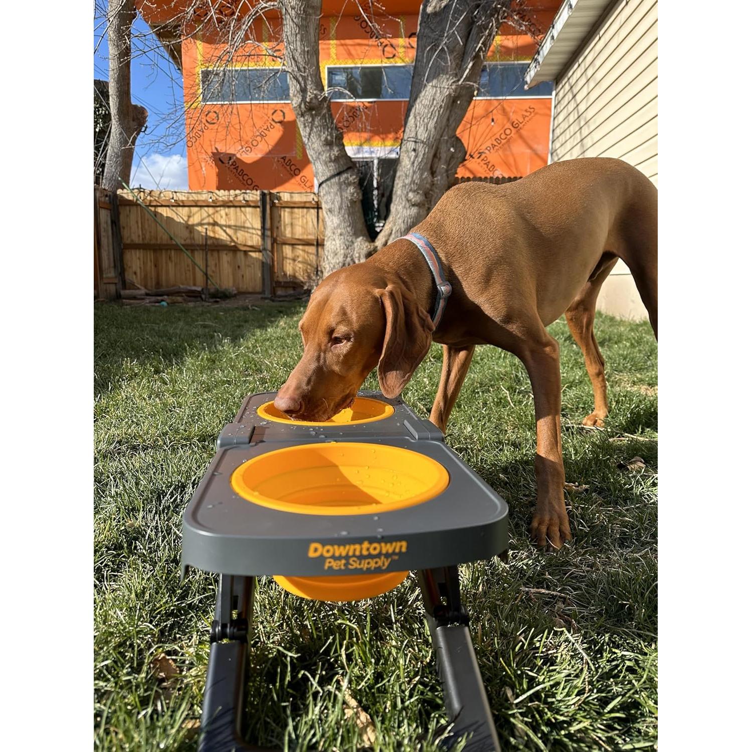 Comedero Elevado Plegable Downtown Pet Supply - 5 Tazas