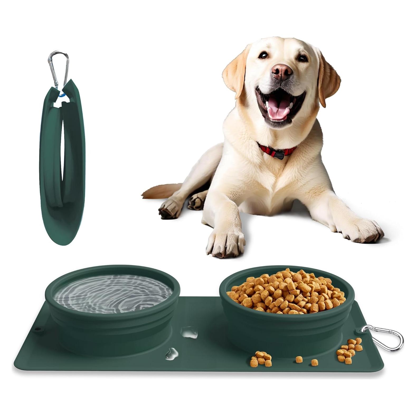 Cuenco Plegable 2-en-1 para Perros LPFLASAT - Silicona Antideslizante