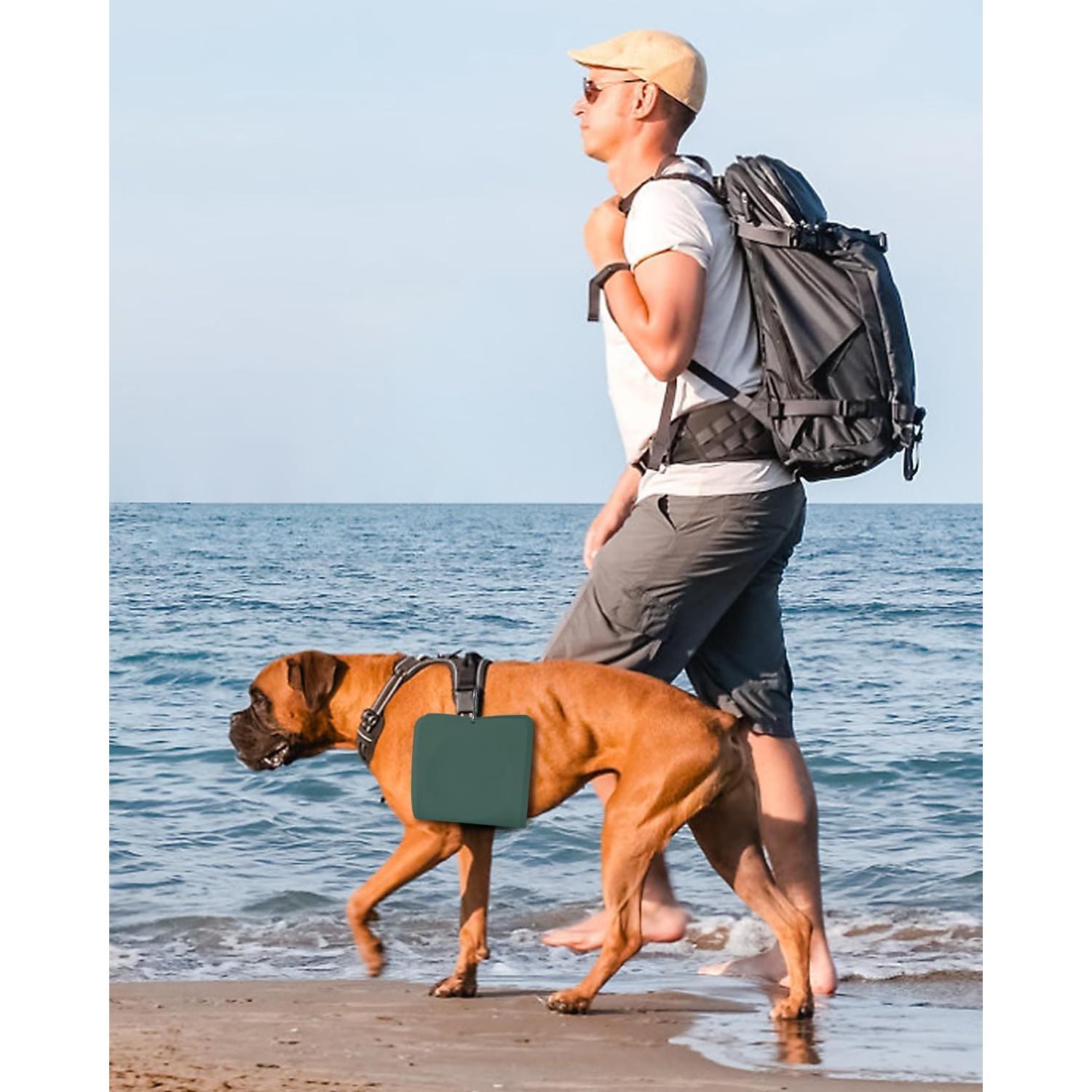 Cuenco Plegable 2-en-1 para Perros LPFLASAT - Silicona Antideslizante