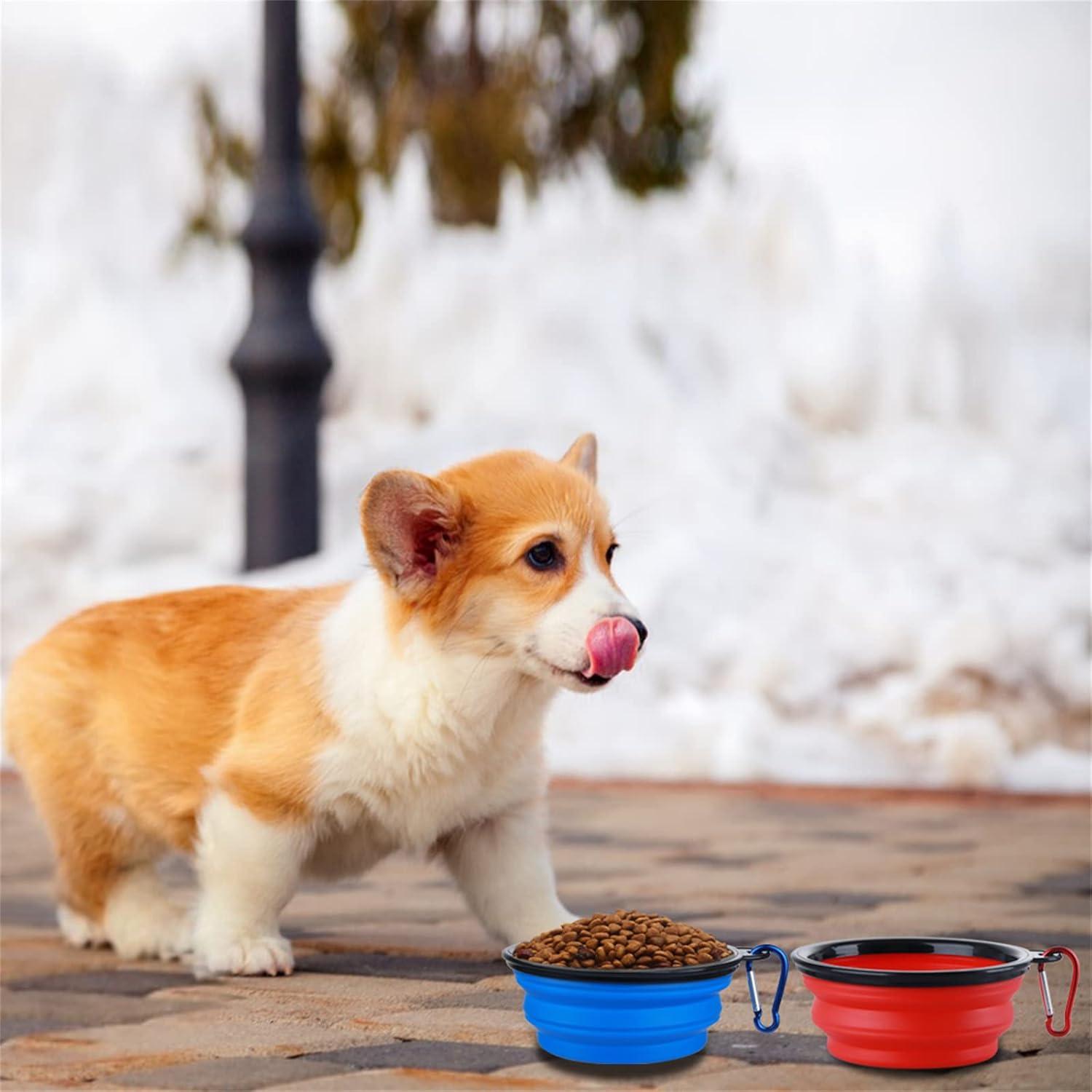 Cuenco Plegable para Perros SLSON 350 ml Azul y Rojo