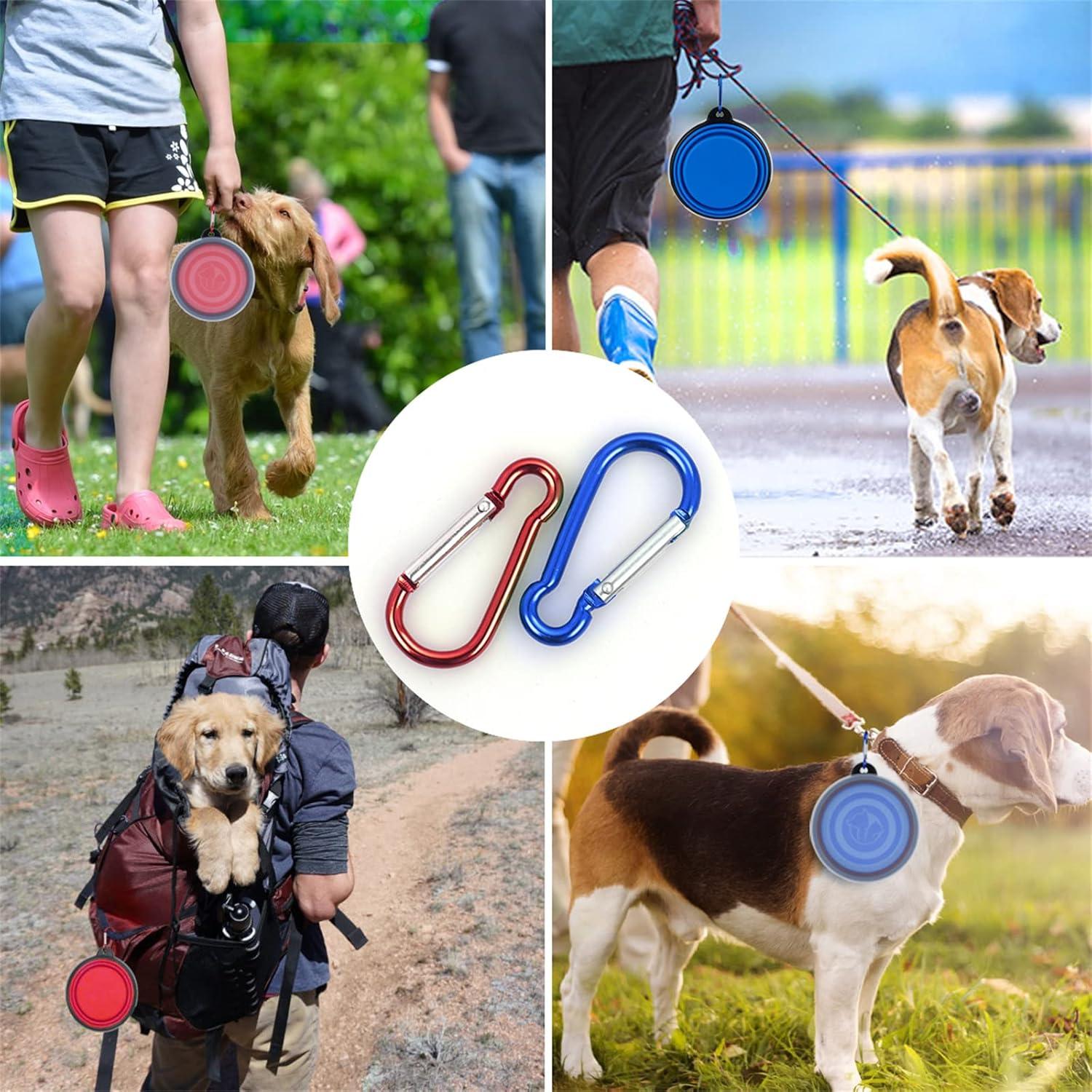 Cuenco Plegable para Perros SLSON 350 ml Azul y Rojo