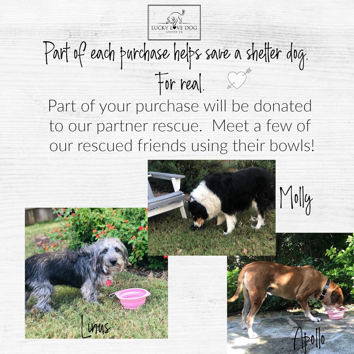 Tazón de Viaje Plegable Lucky Love para Perros Rosa 591ml