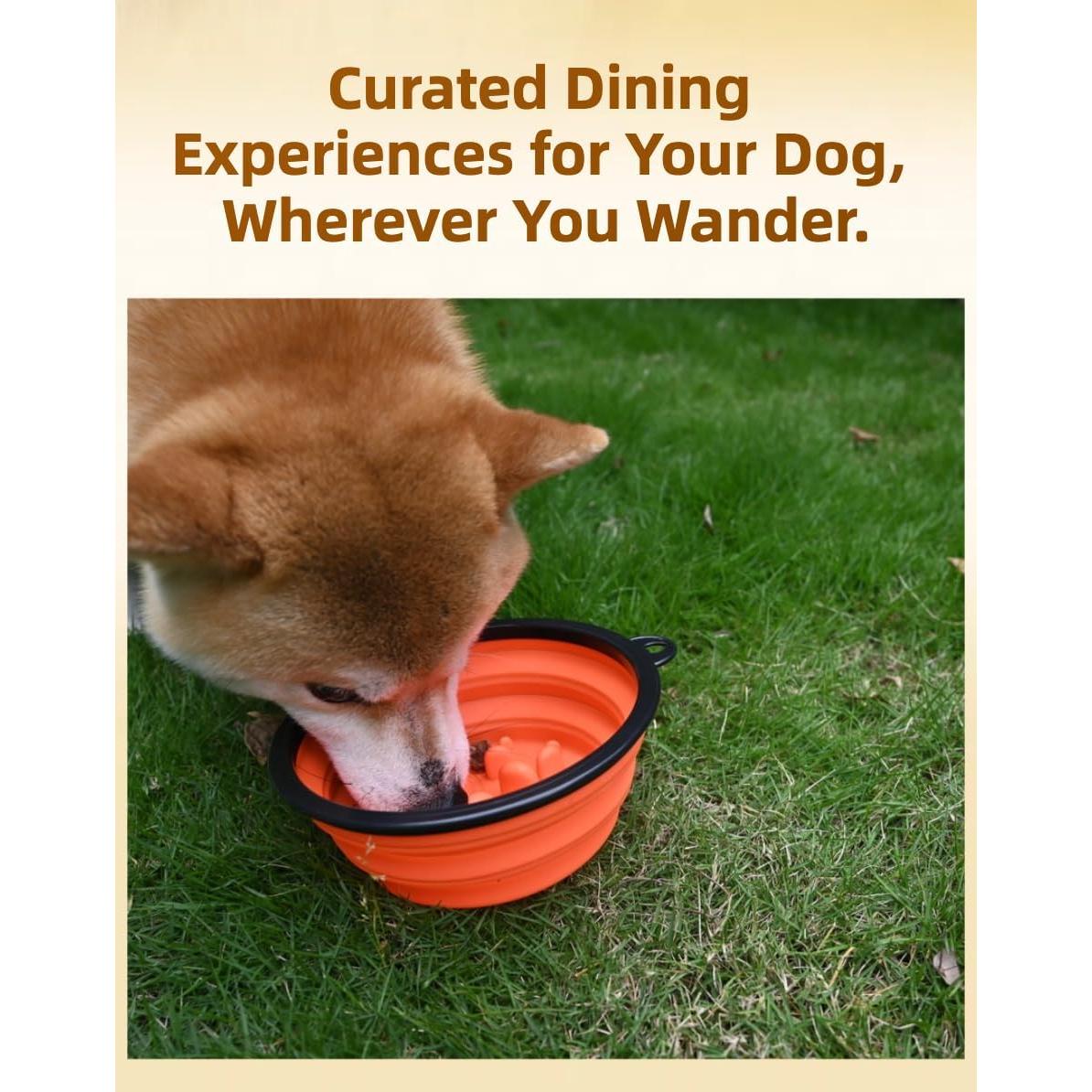 Tazón Plegable para Perro Easoneo 1008ml y 355ml Silicona