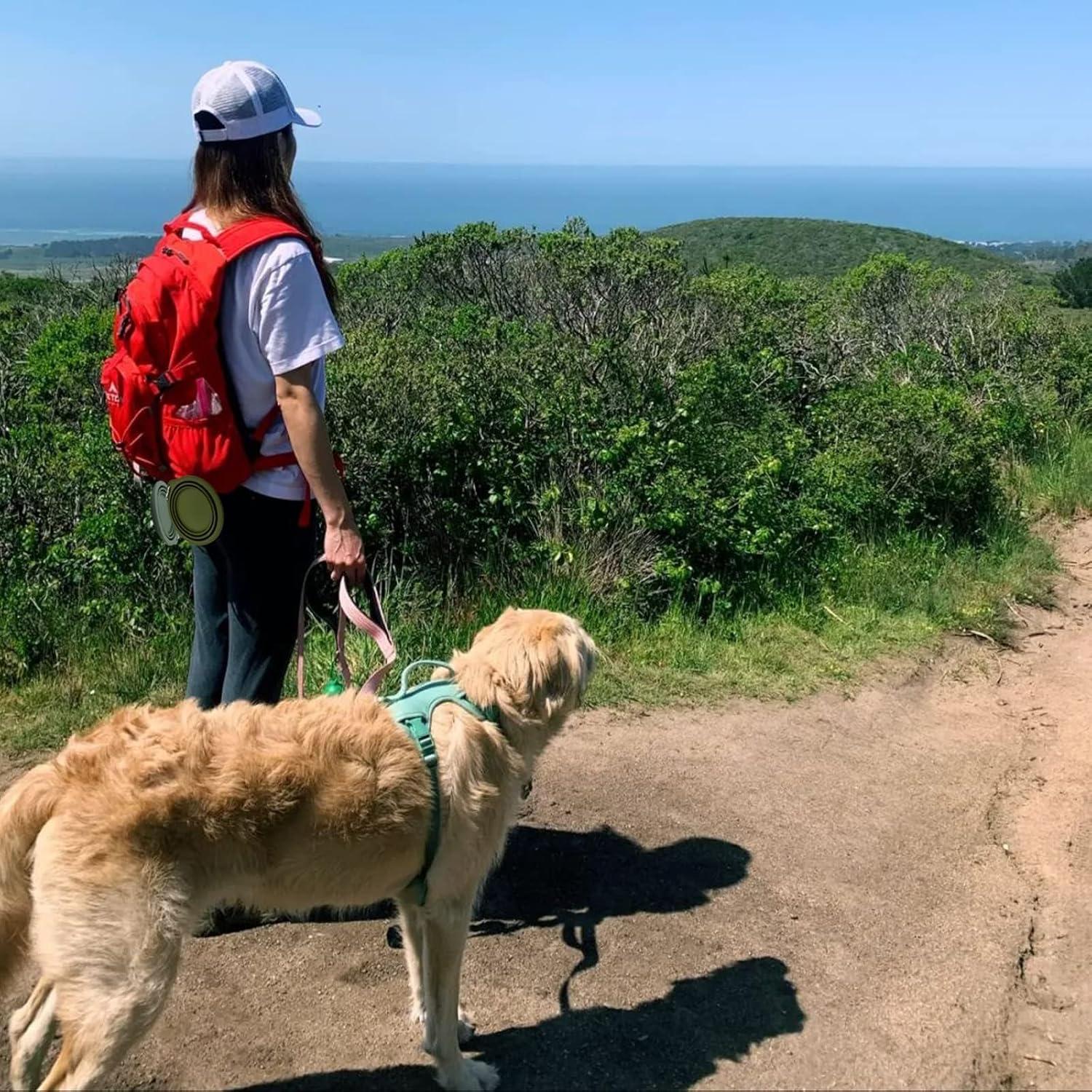 Cuencos Plegables para Perro KlerRoem 600ml Silicona Verde