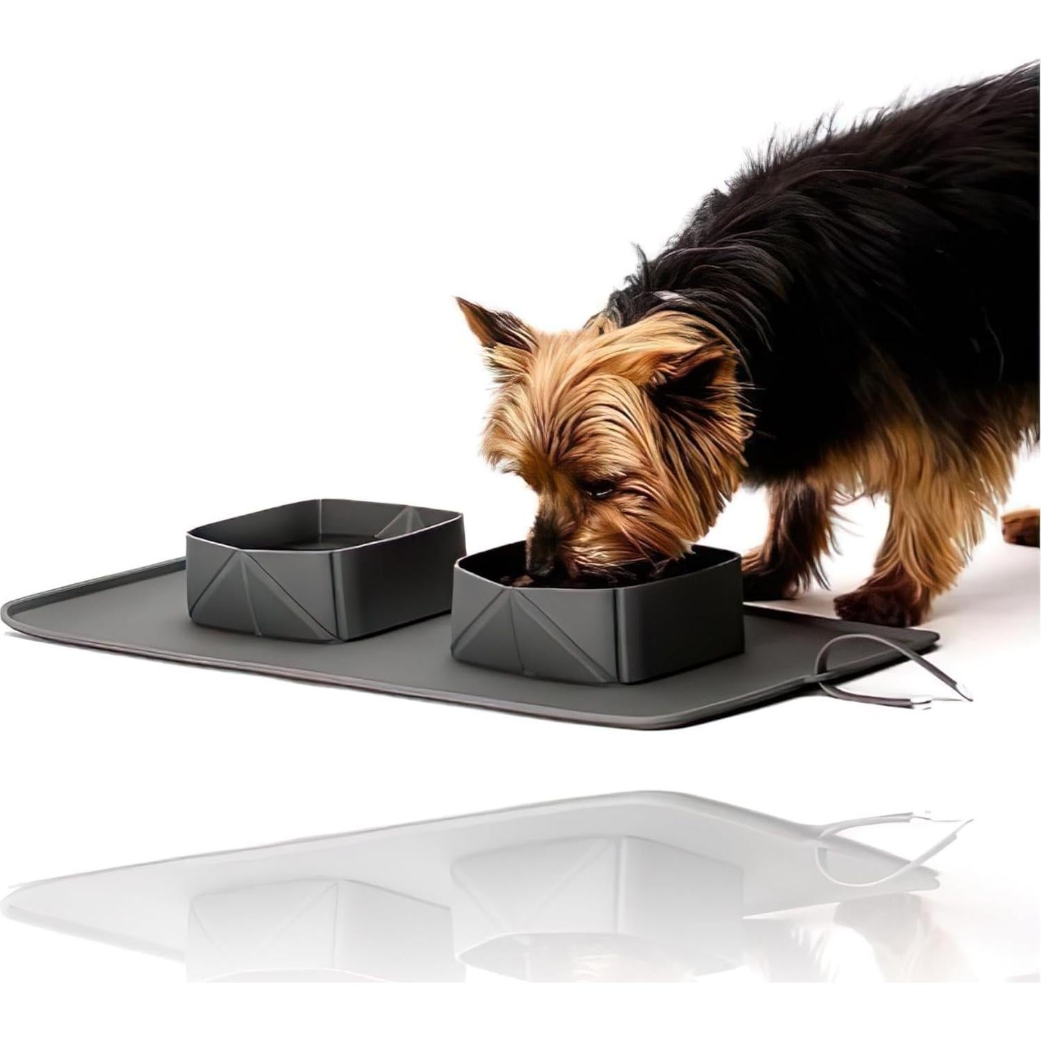 Comedero Plegable para Mascotas Silicona 2 en 1 con Lazos