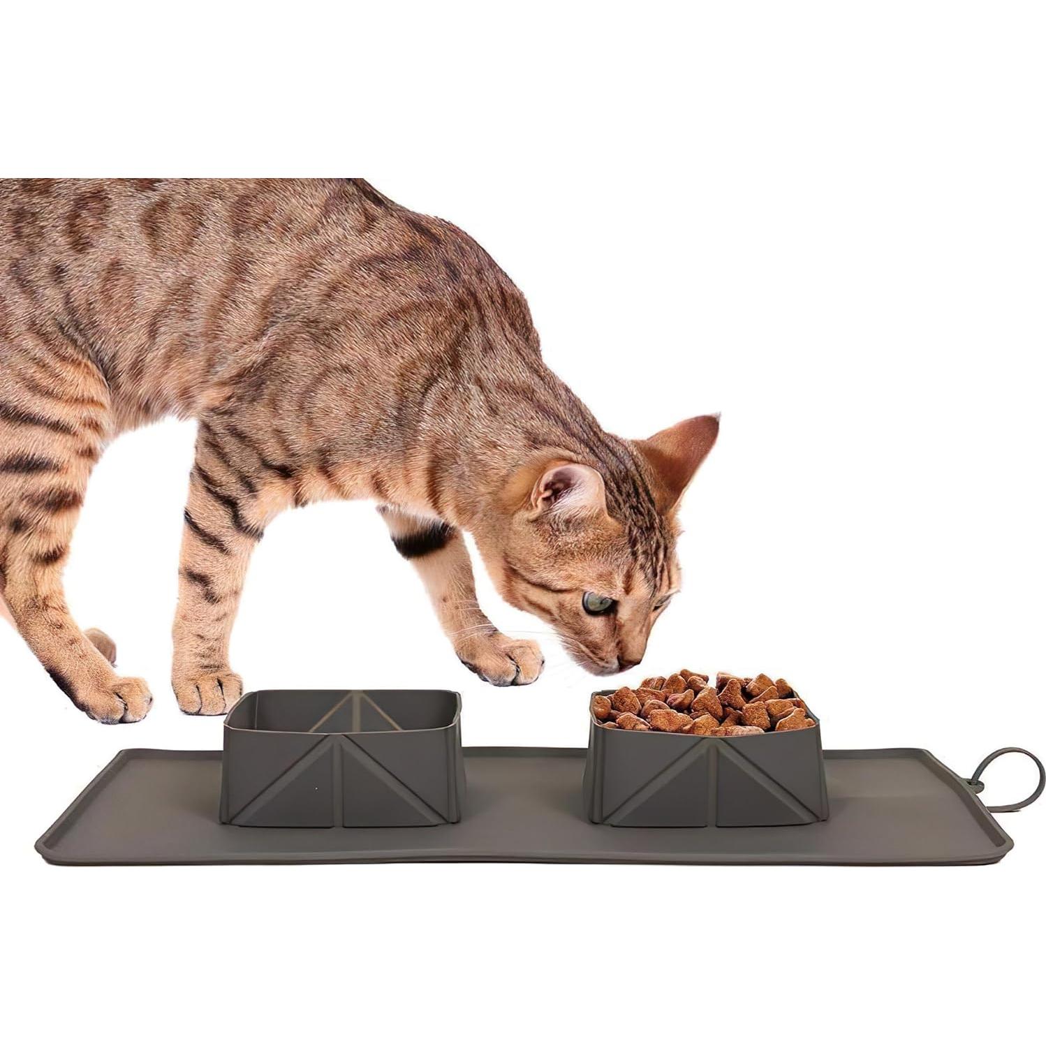 Comedero Plegable para Mascotas Silicona 2 en 1 con Lazos