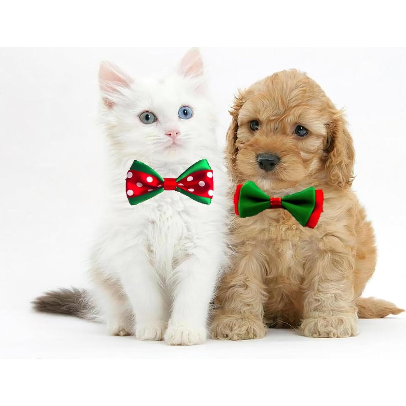 Comedero Plegable para Mascotas Silicona 2 en 1 con Lazos