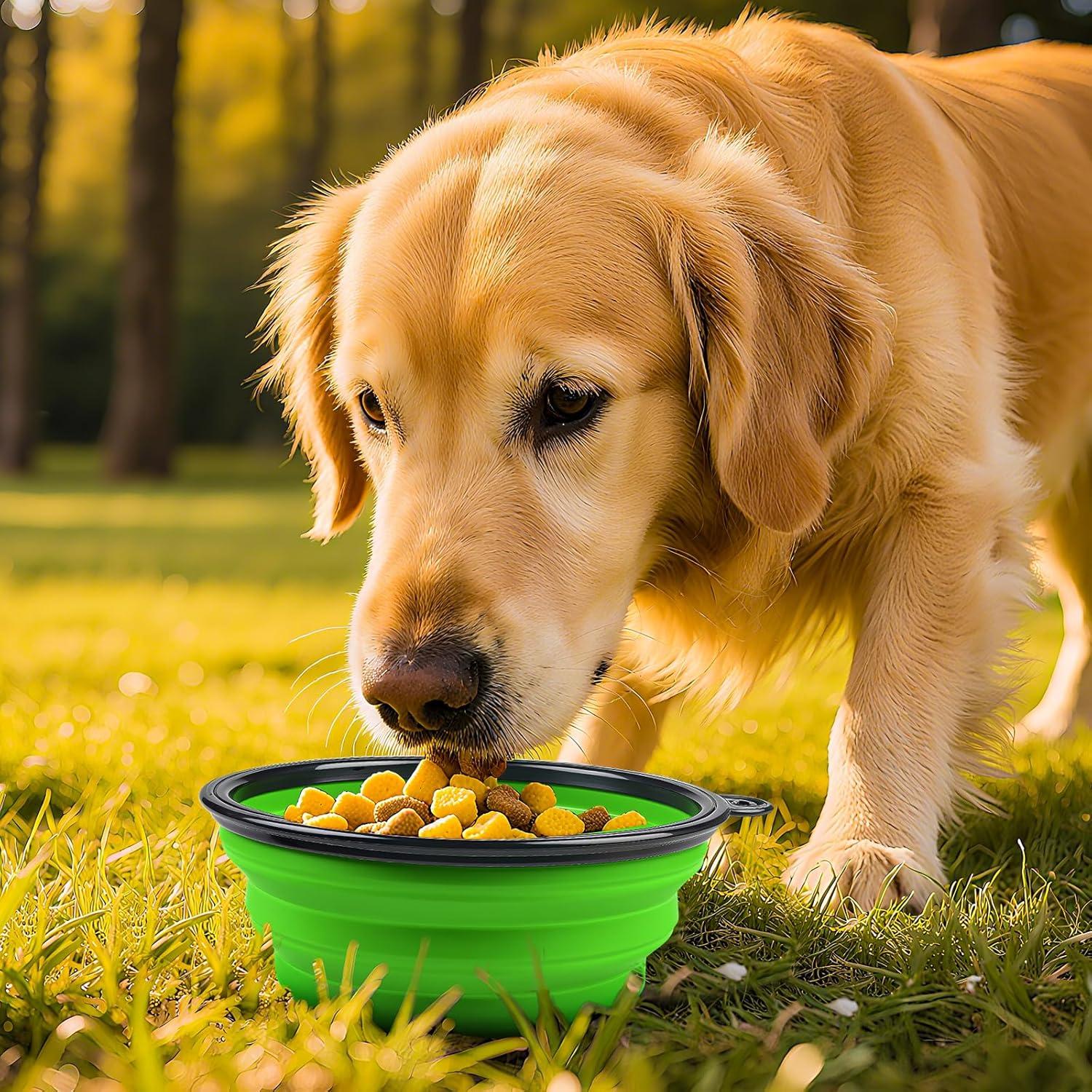 Cuencos Plegables para Perros Blusaryme 14.5cm Silicona