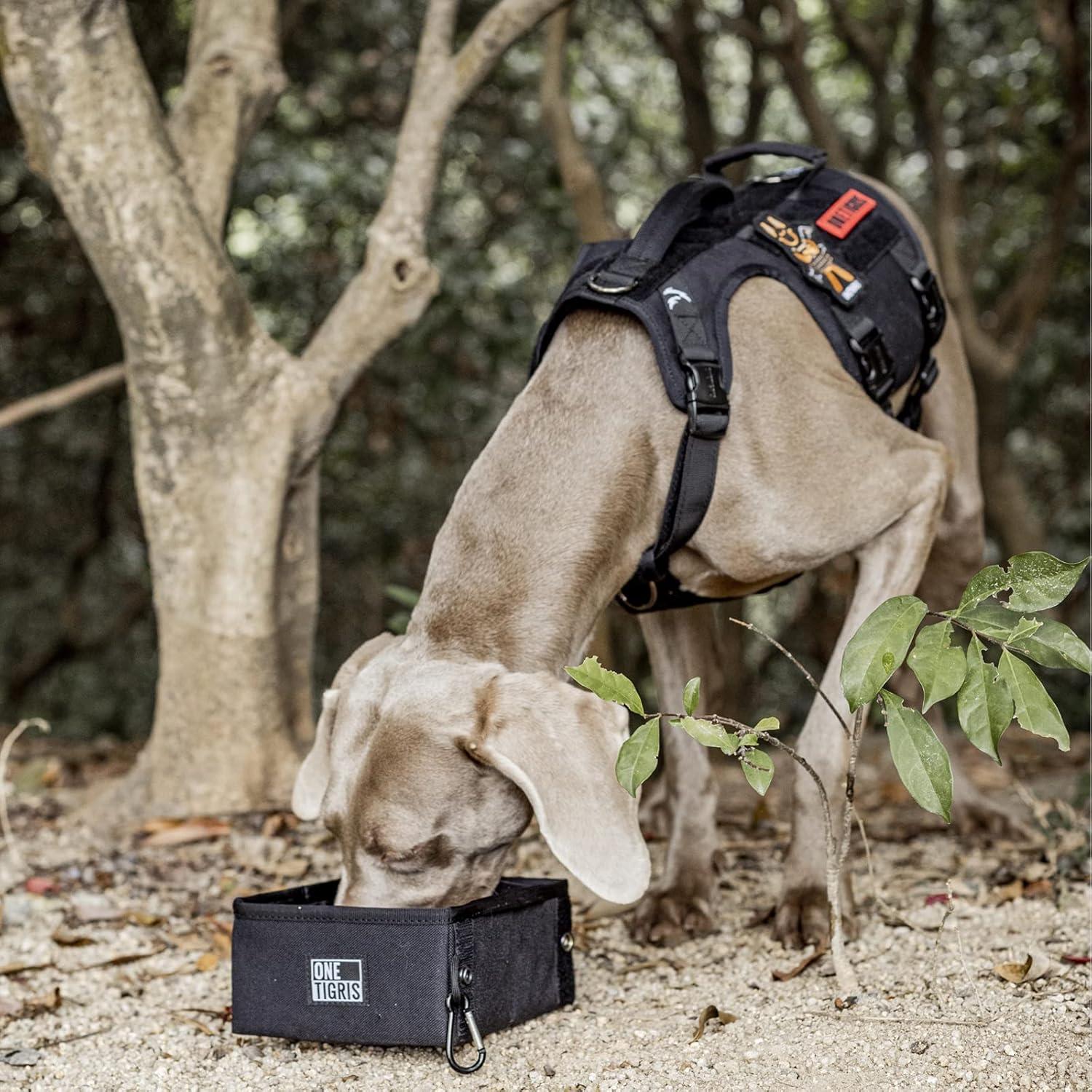 Cuenco Plegable para Mascotas OneTigris 2.1L Negro