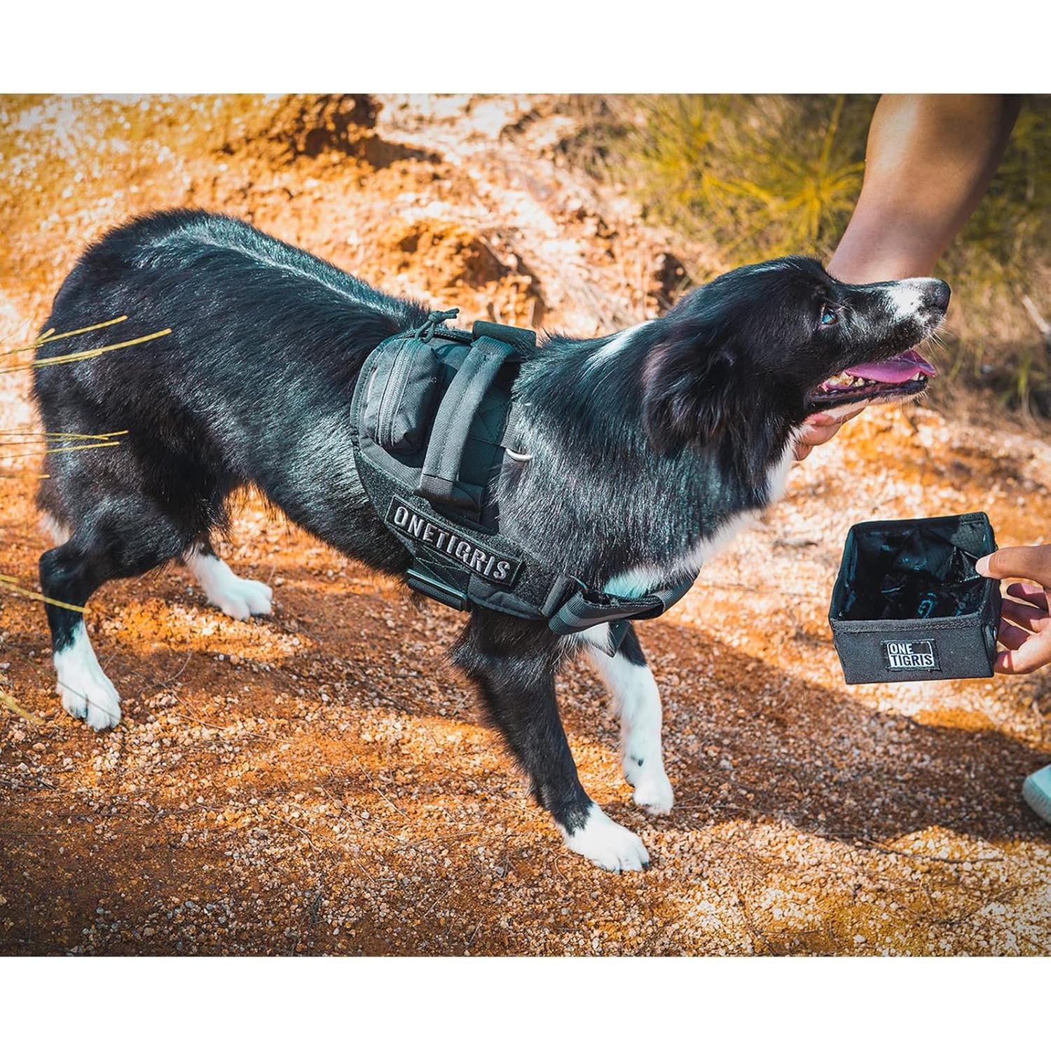 Cuenco Plegable para Mascotas OneTigris 2.1L Negro