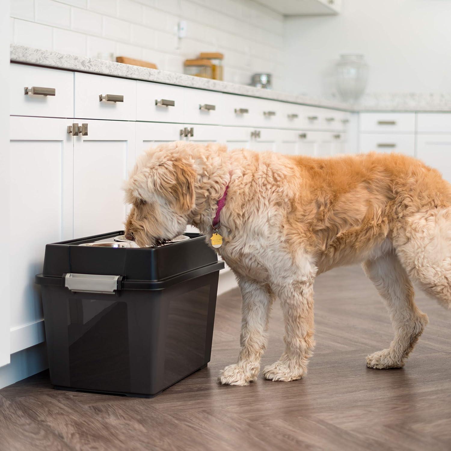 Cuencos Elevados para Perros Grandes IRIS USA con Almacenamiento