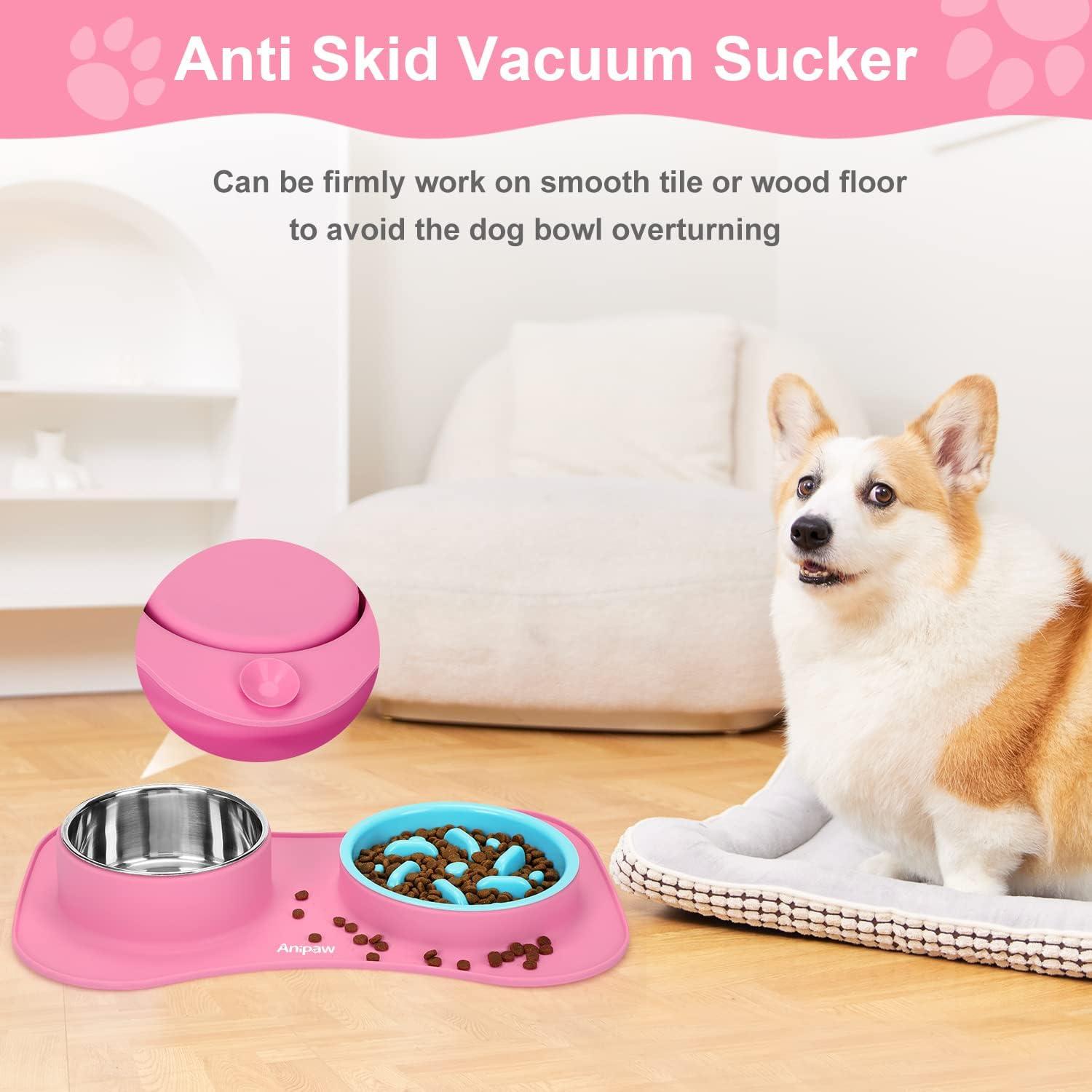 Cuencos de Alimentación Lenta Anipaw 3 en 1 con Tapete Antideslizante