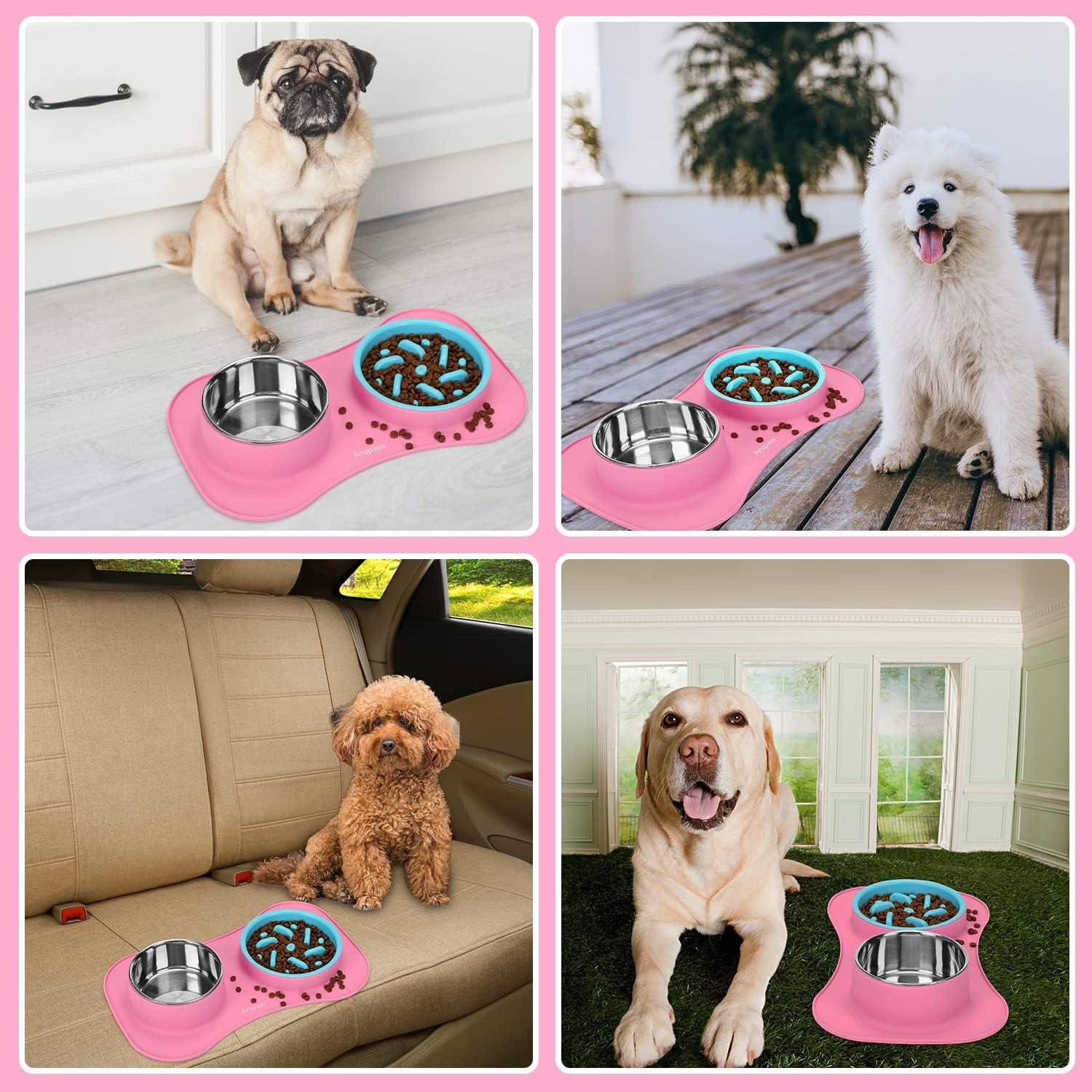 Cuencos de Alimentación Lenta Anipaw 3 en 1 con Tapete Antideslizante