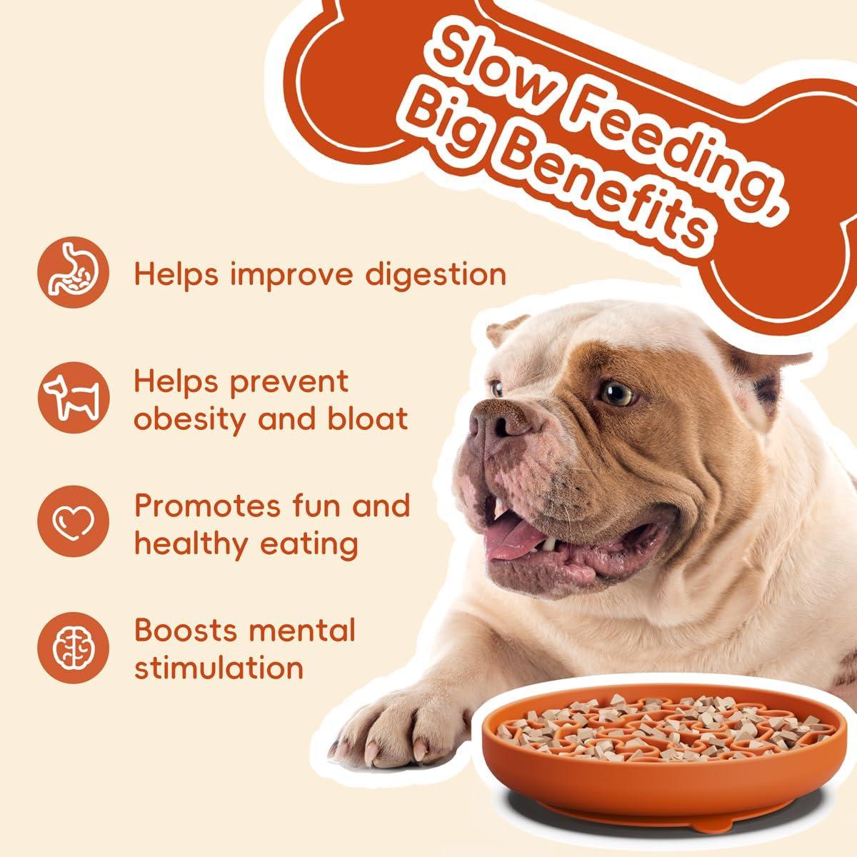 Cuenco Antideslizante de Silicona para Perro AXEFUN 19 cm Naranja