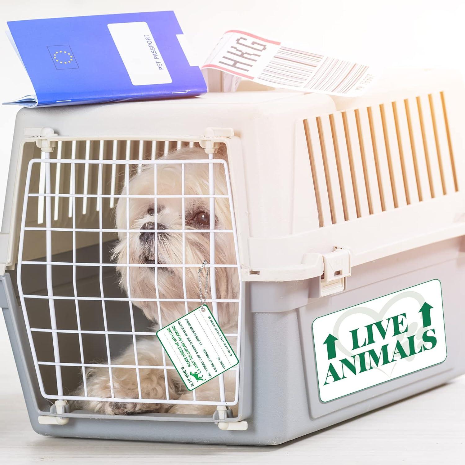 Kit de Viaje para Mascotas Eaasty 23 Piezas Accesorios