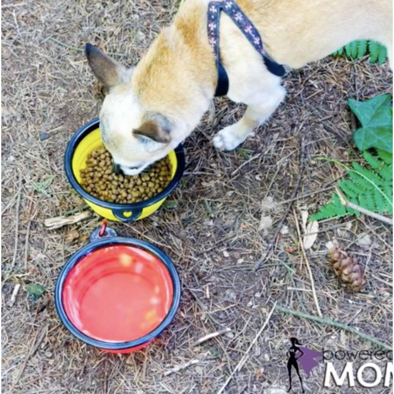 Tazones Plegables para Perros Mr. Peanut, Set de 3 Silicona