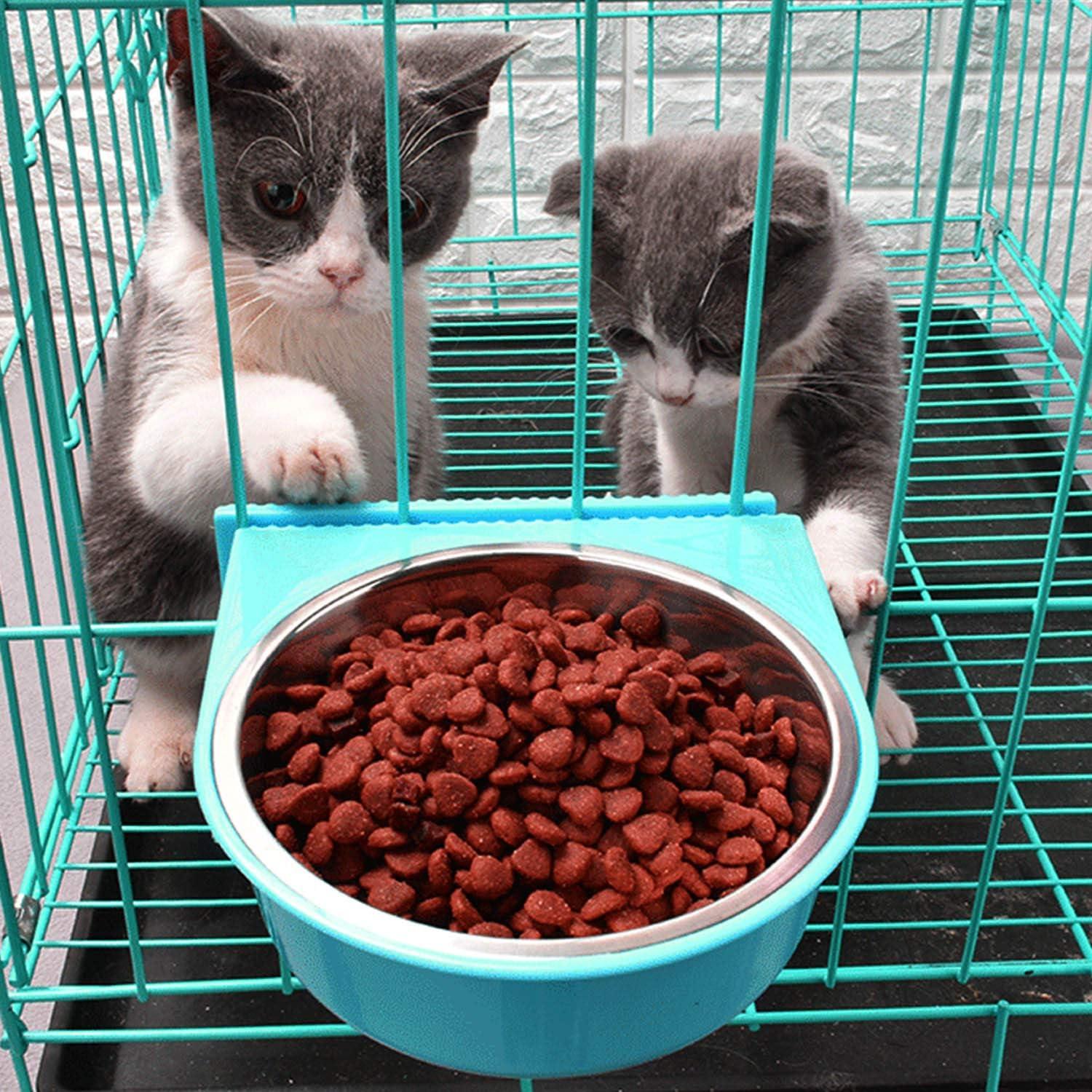 Tazón para Perros y Gatos Guardians Acero Inoxidable 11.4 cm Azul