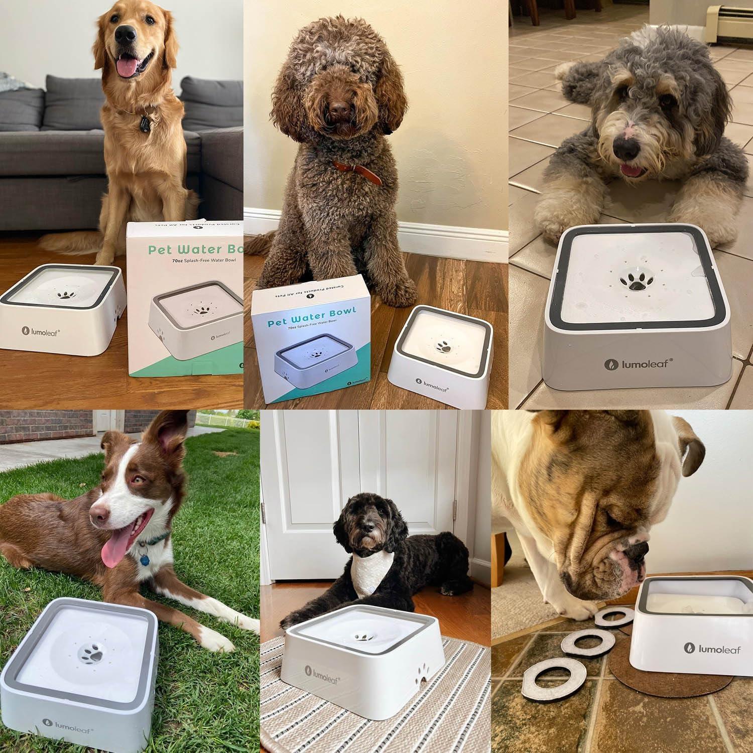 Cuenco de Agua Sin Derrames LumoLeaf 2L para Perros Blanco