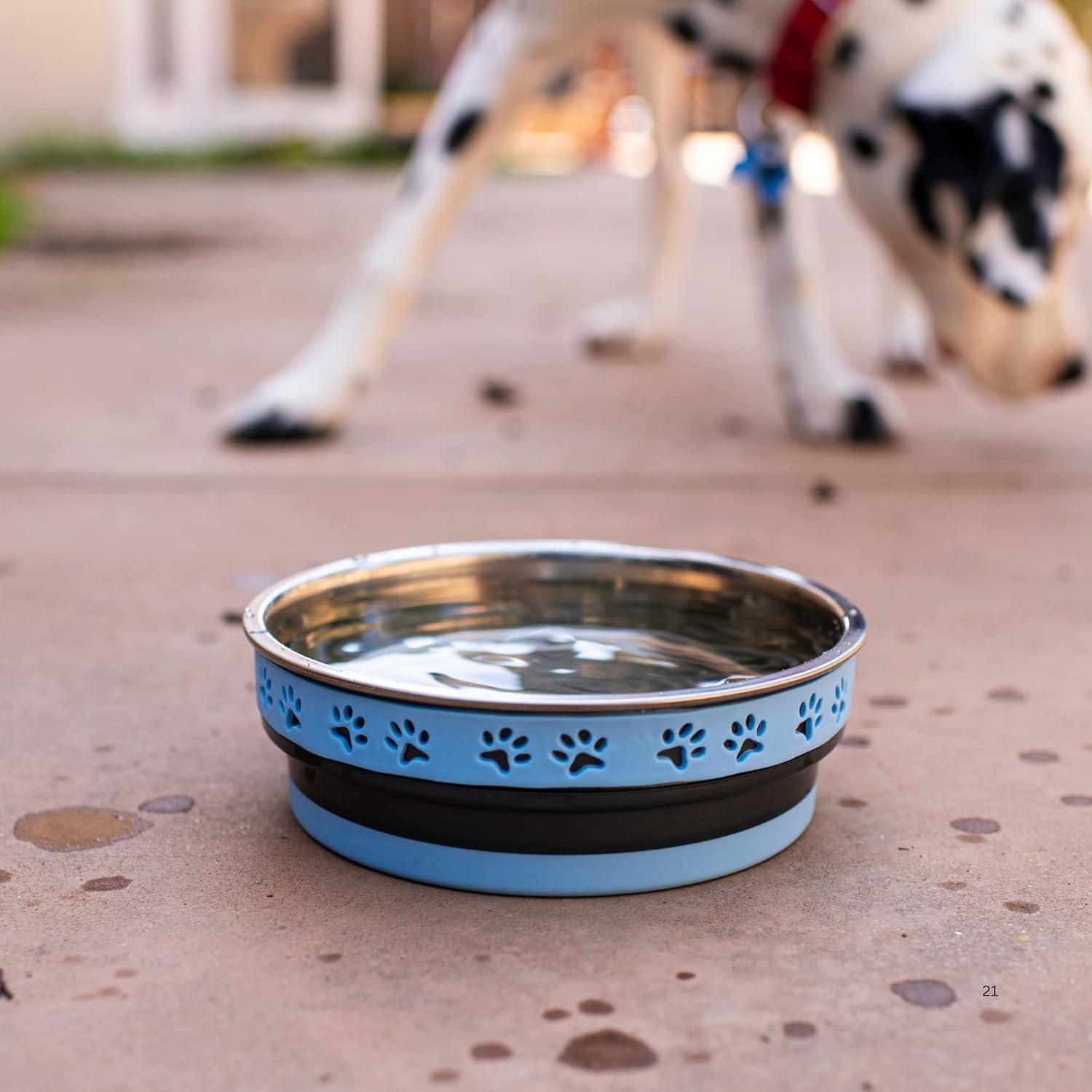 Tazón Antideslizante para Perros y Gatos Loving Pets 14cm Azul