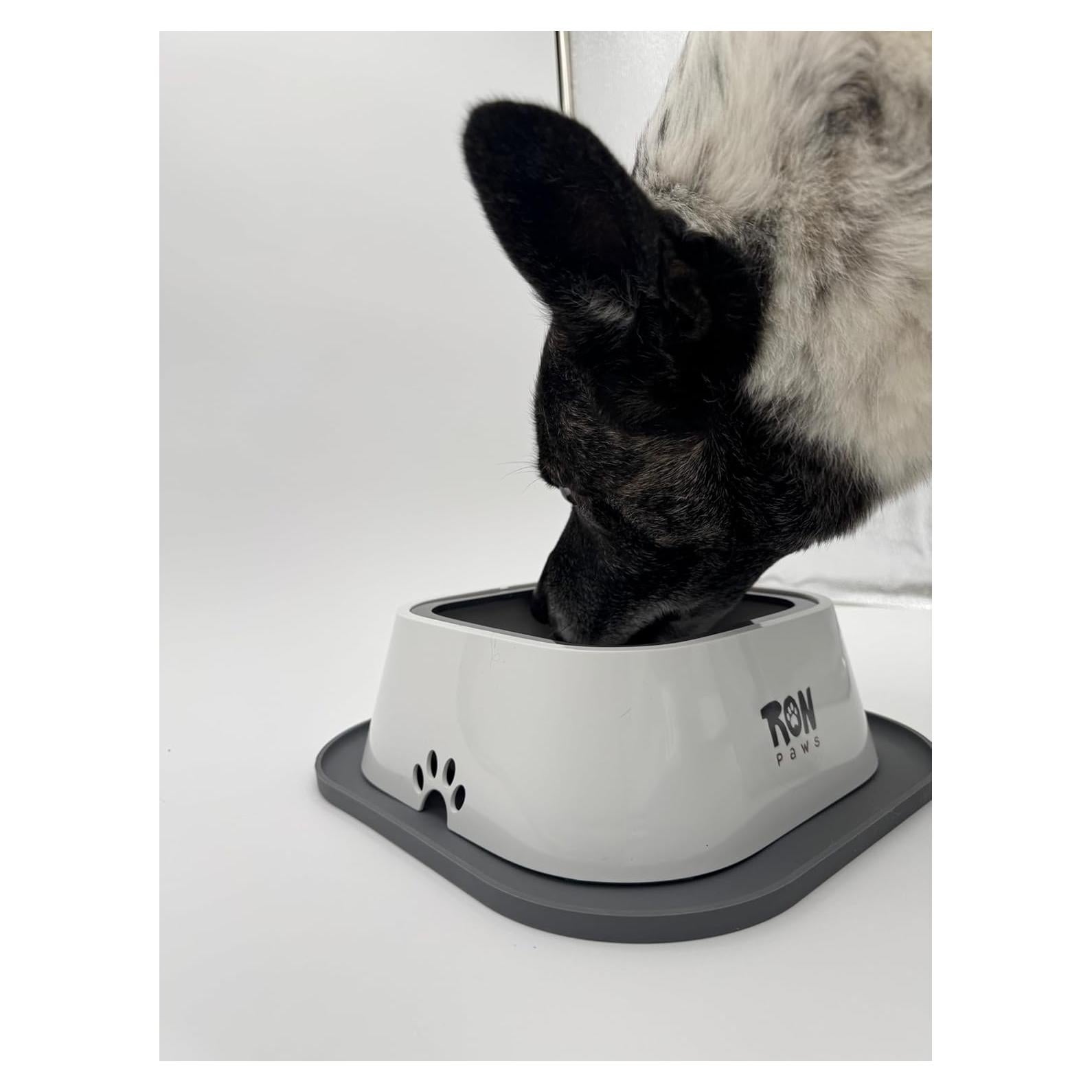 Cuenco Antideslizante para Perros Ron Paws 28cm - Sin Derrames