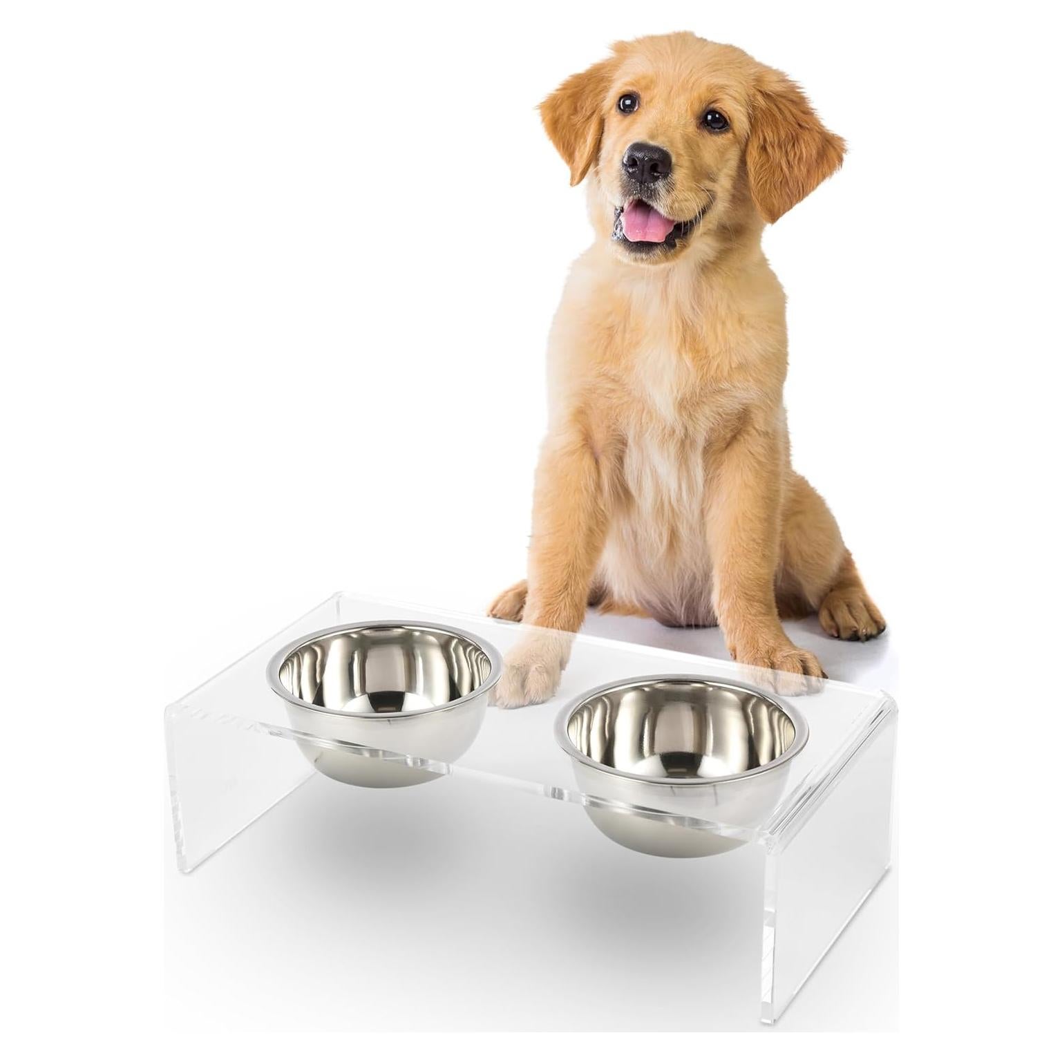 Alimentador Elevado para Perros THE LICKER STORE DBL2000A 20oz