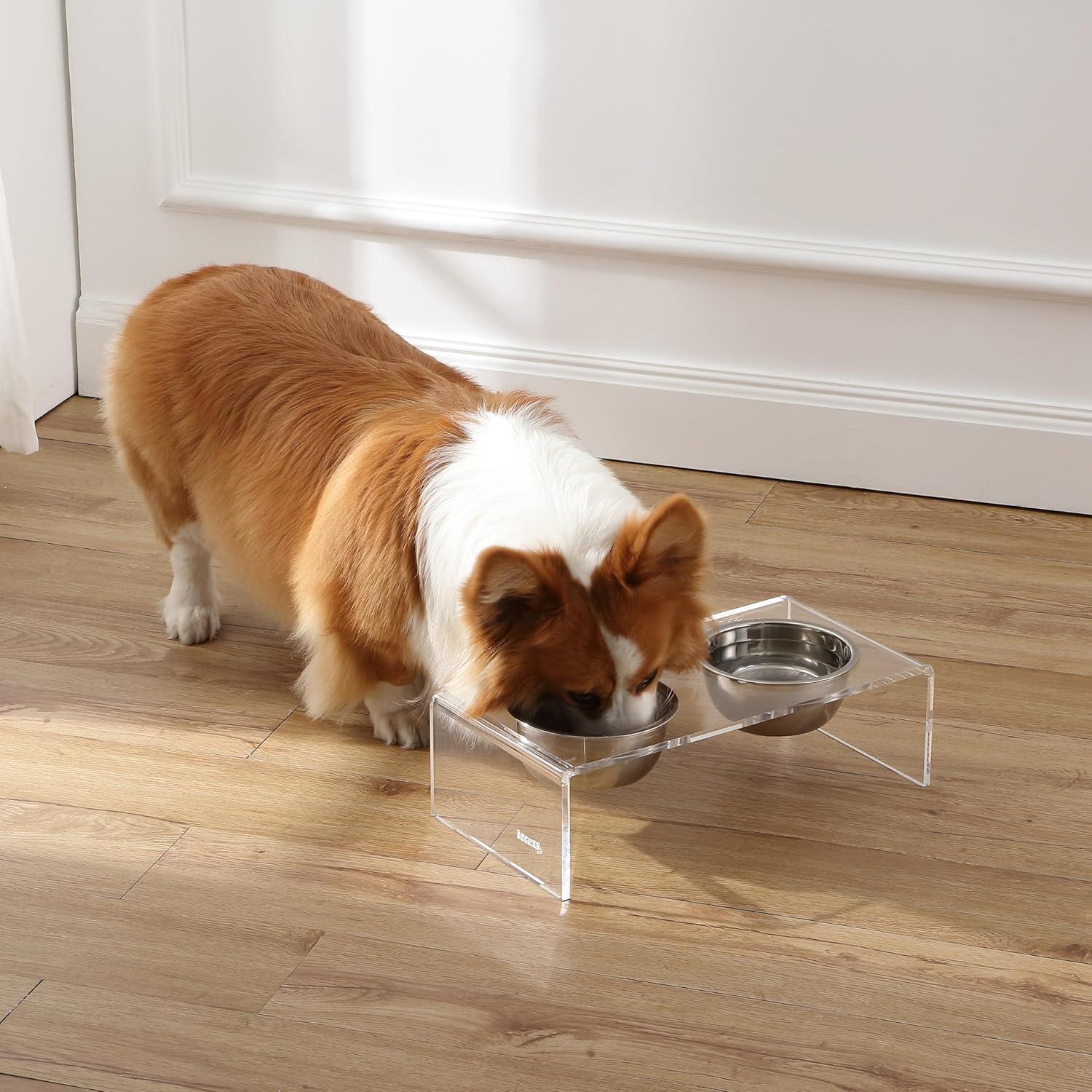 Alimentador Elevado para Perros THE LICKER STORE DBL2000A 20oz