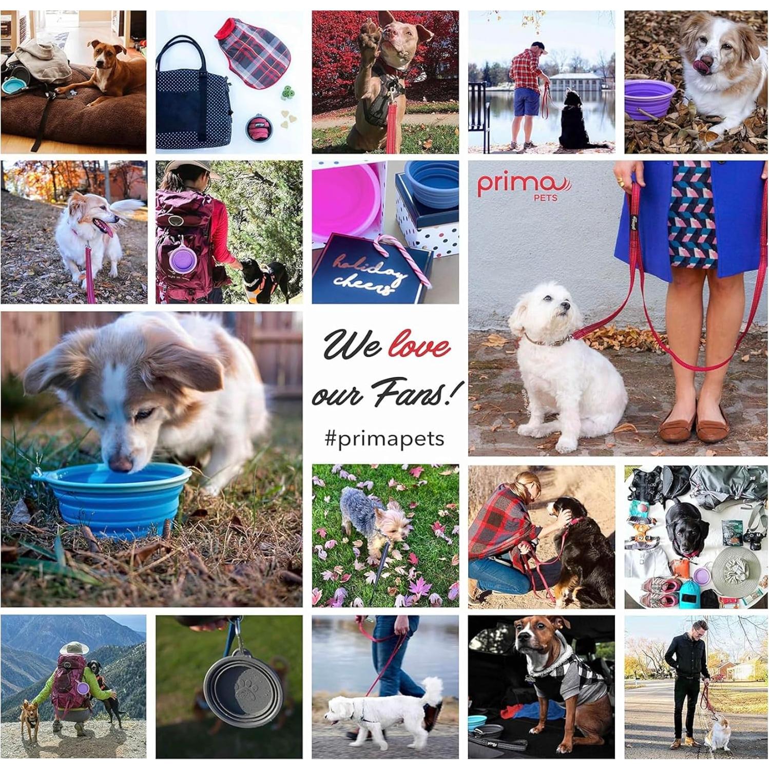 Tazón de Viaje Plegable Prima Pets 1.5 Tazas Púrpura - 2 Paquete